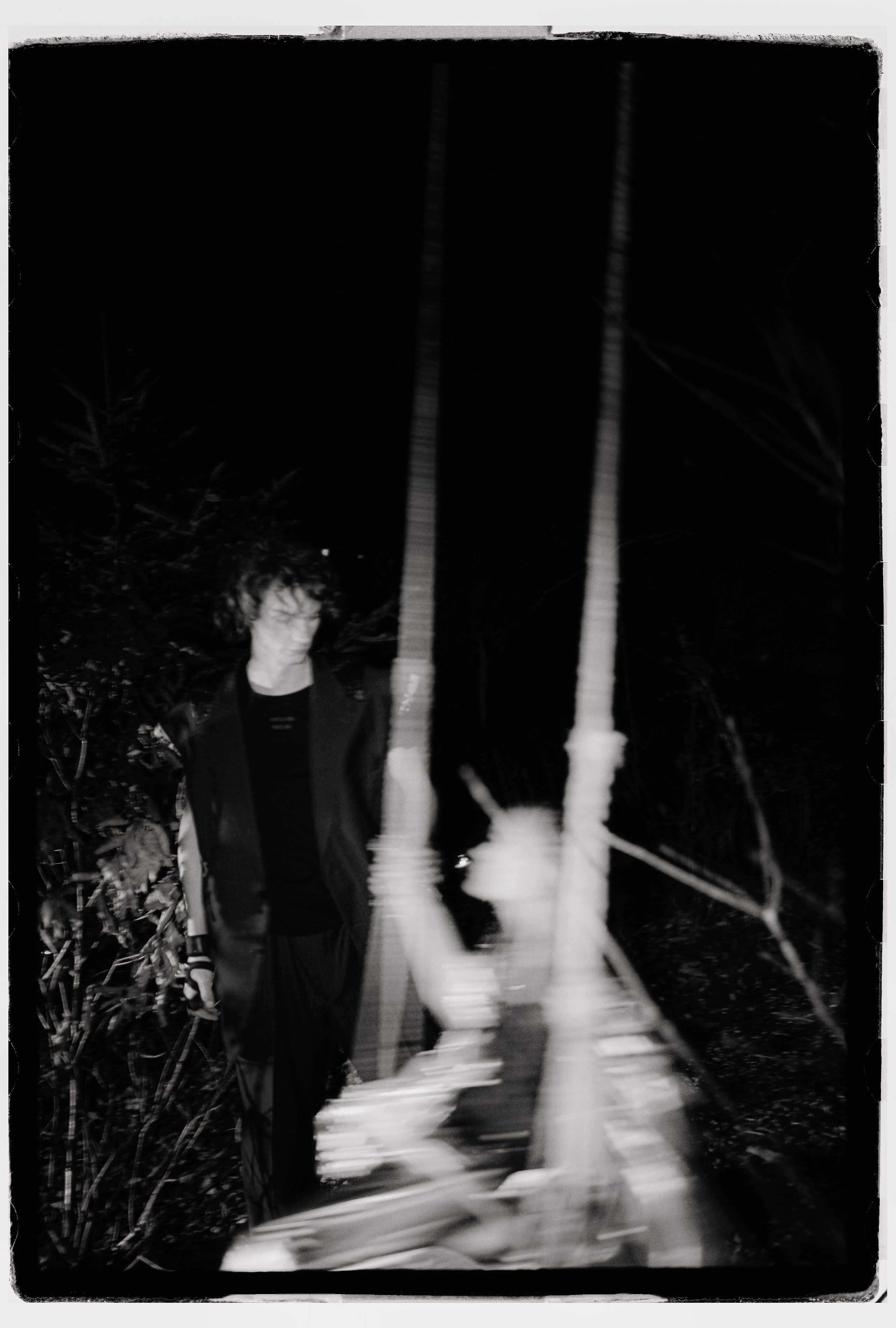 Лесной променад