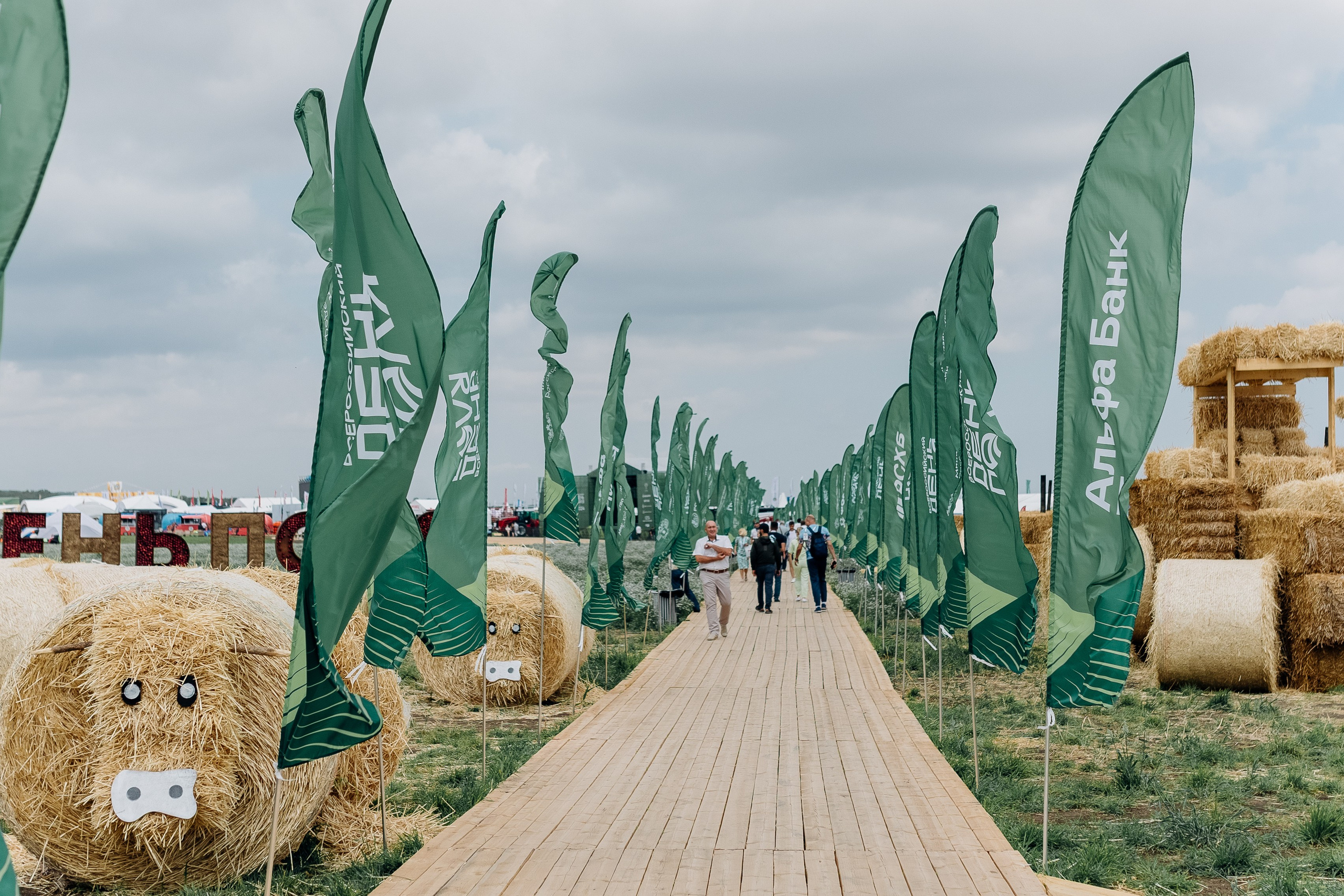 Земля спорта. Главная