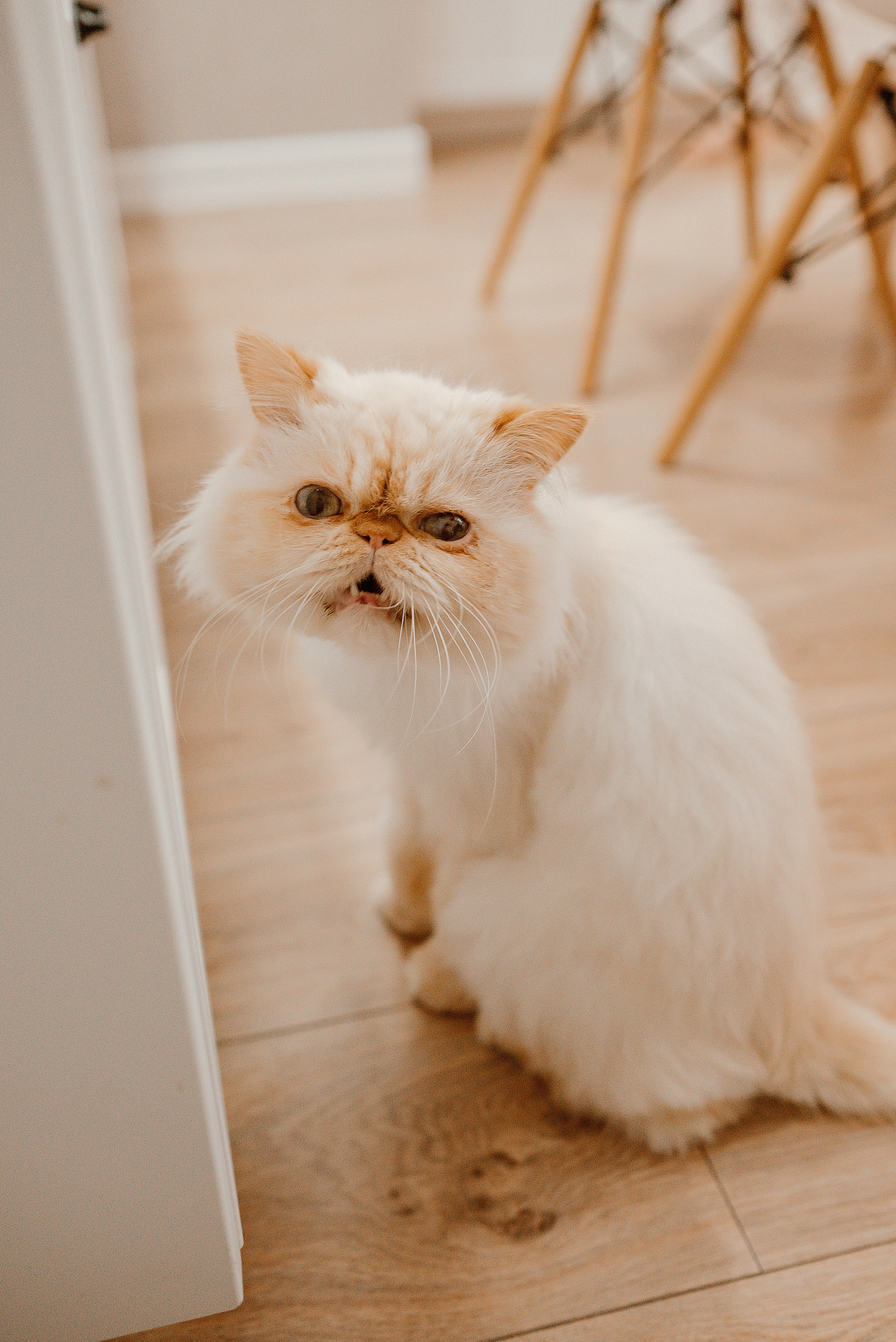 Домашняя новогодняя история. Свадебный и семейный фотограф в Ростове-на-Дону Алина Астахова