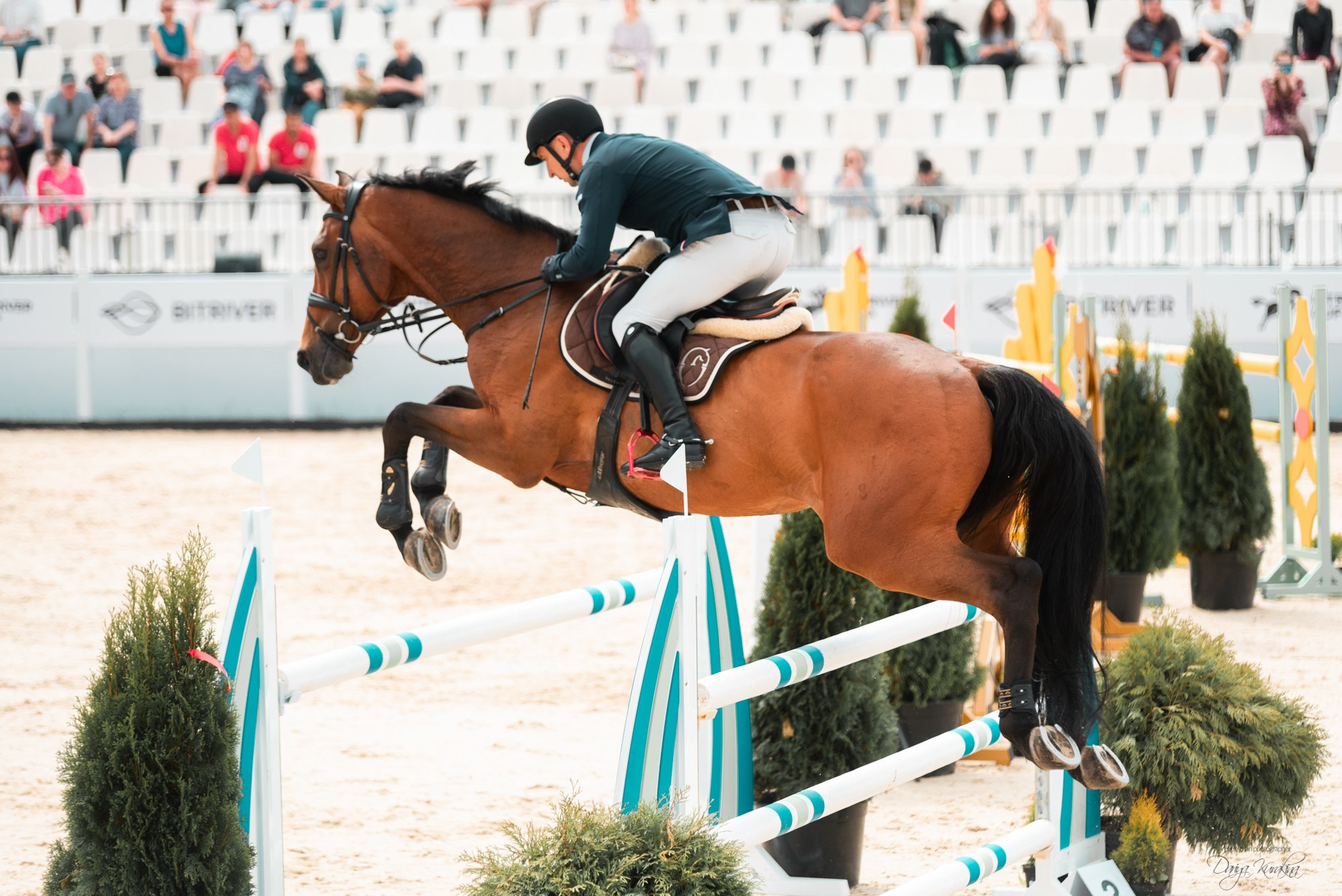 BITRIVER CUP 2023. Конный фотограф Куракина Дарья • Фотосессии с лошадьми