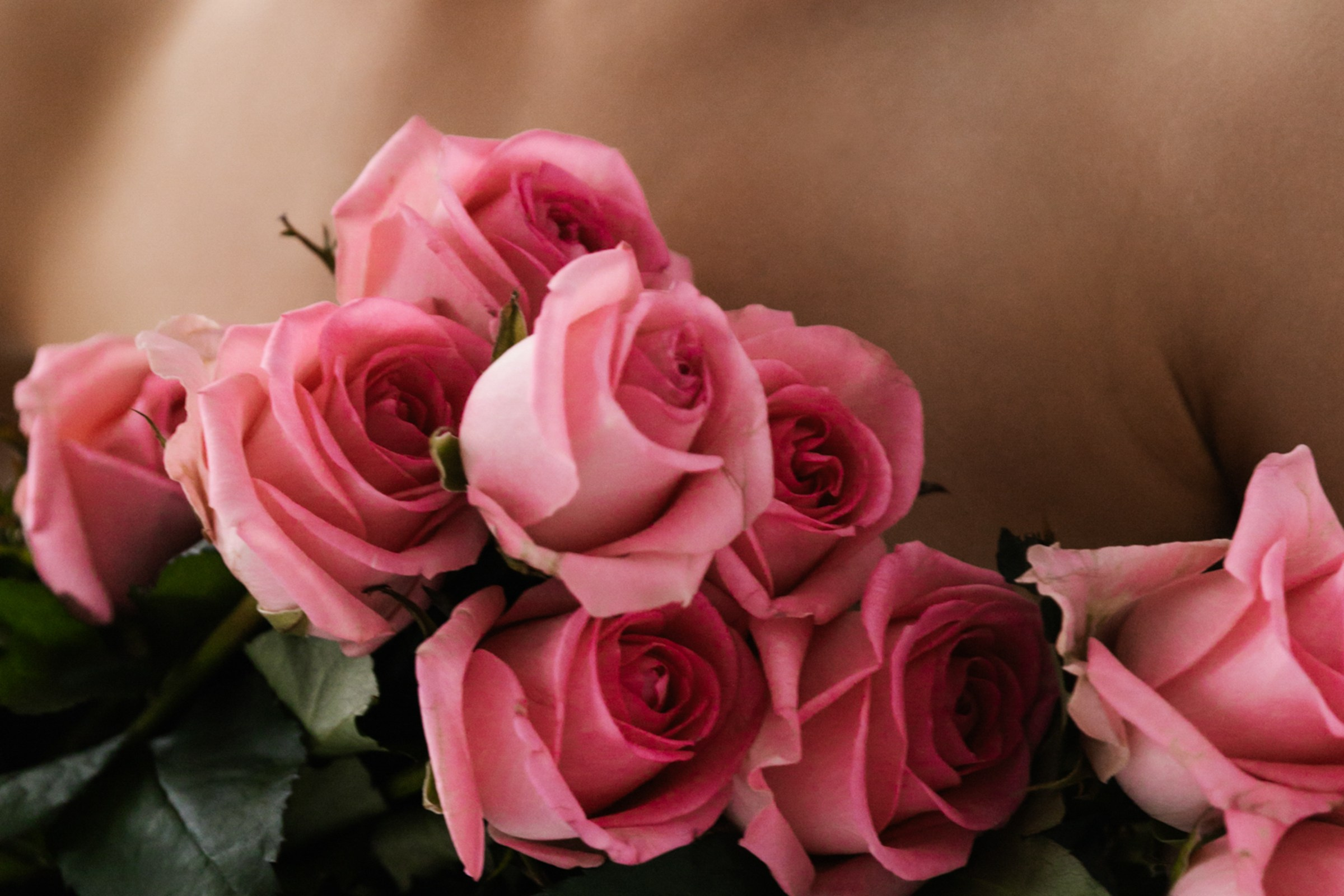 Услада юностью. Свадебный фотограф Марьям Сайфулина г. Красноярск