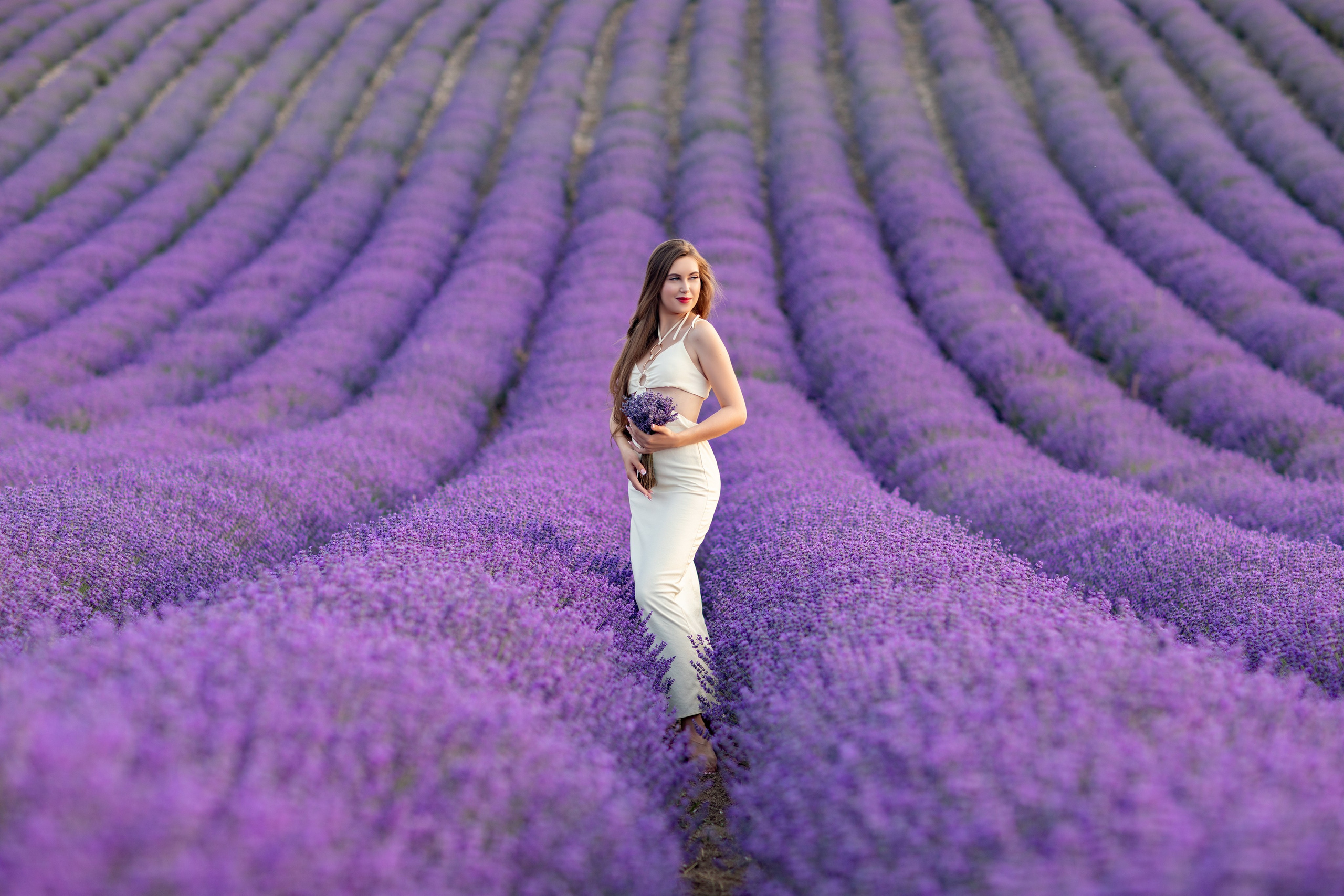 ЛАВАНДА. Фотограф Севастополь/Крым Светлана Евтушенко