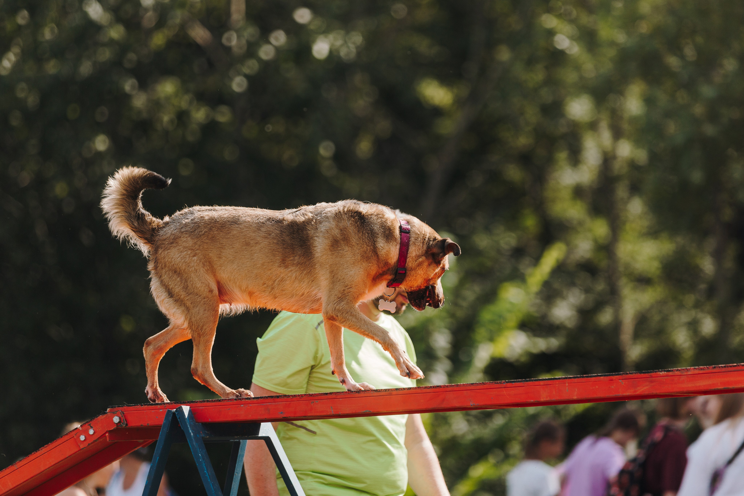 Petshop Sup day. Фотограф анималист Кристина Карпова, Москва