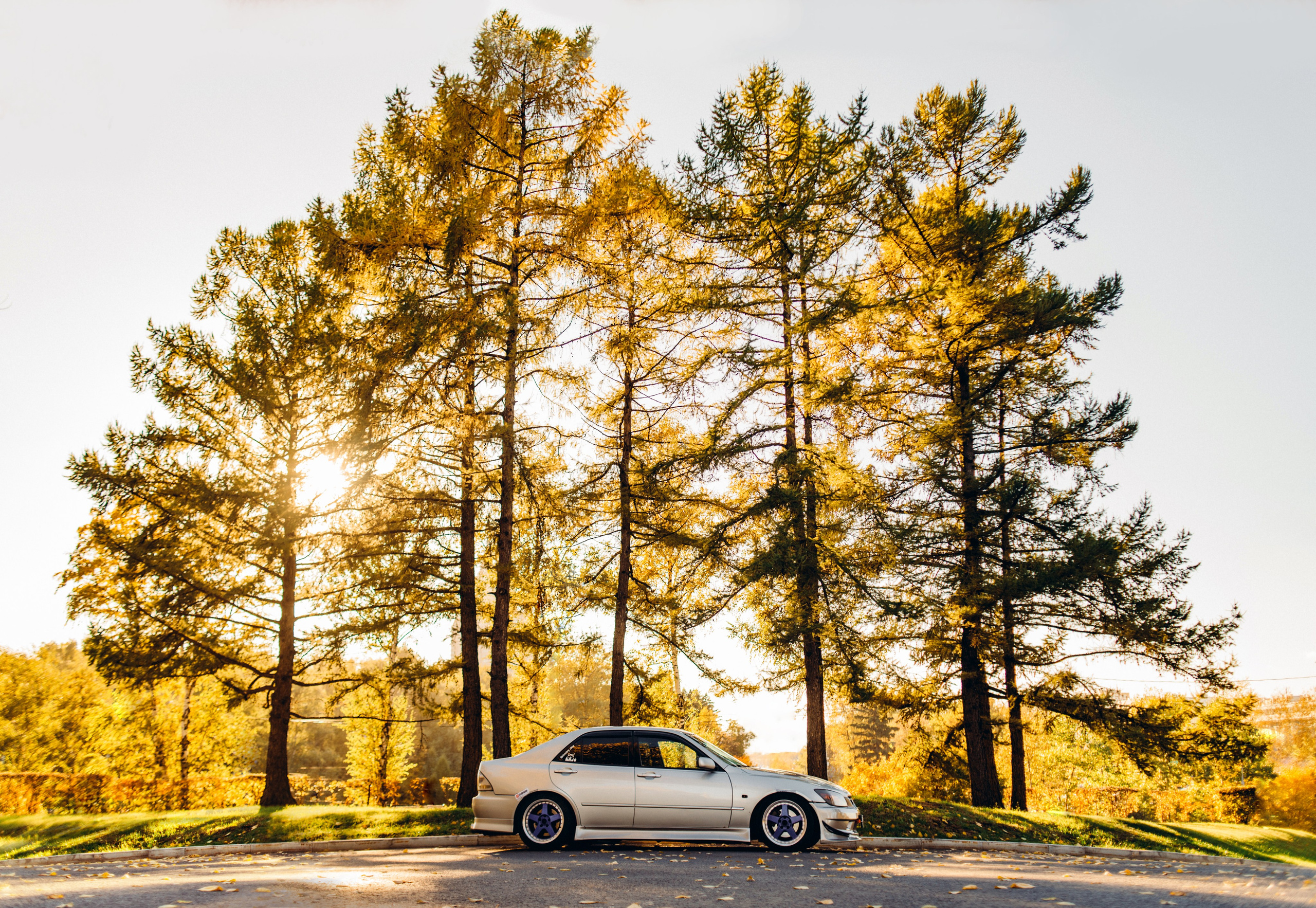 Toyota Altezza dmitry_dry. DeLorein