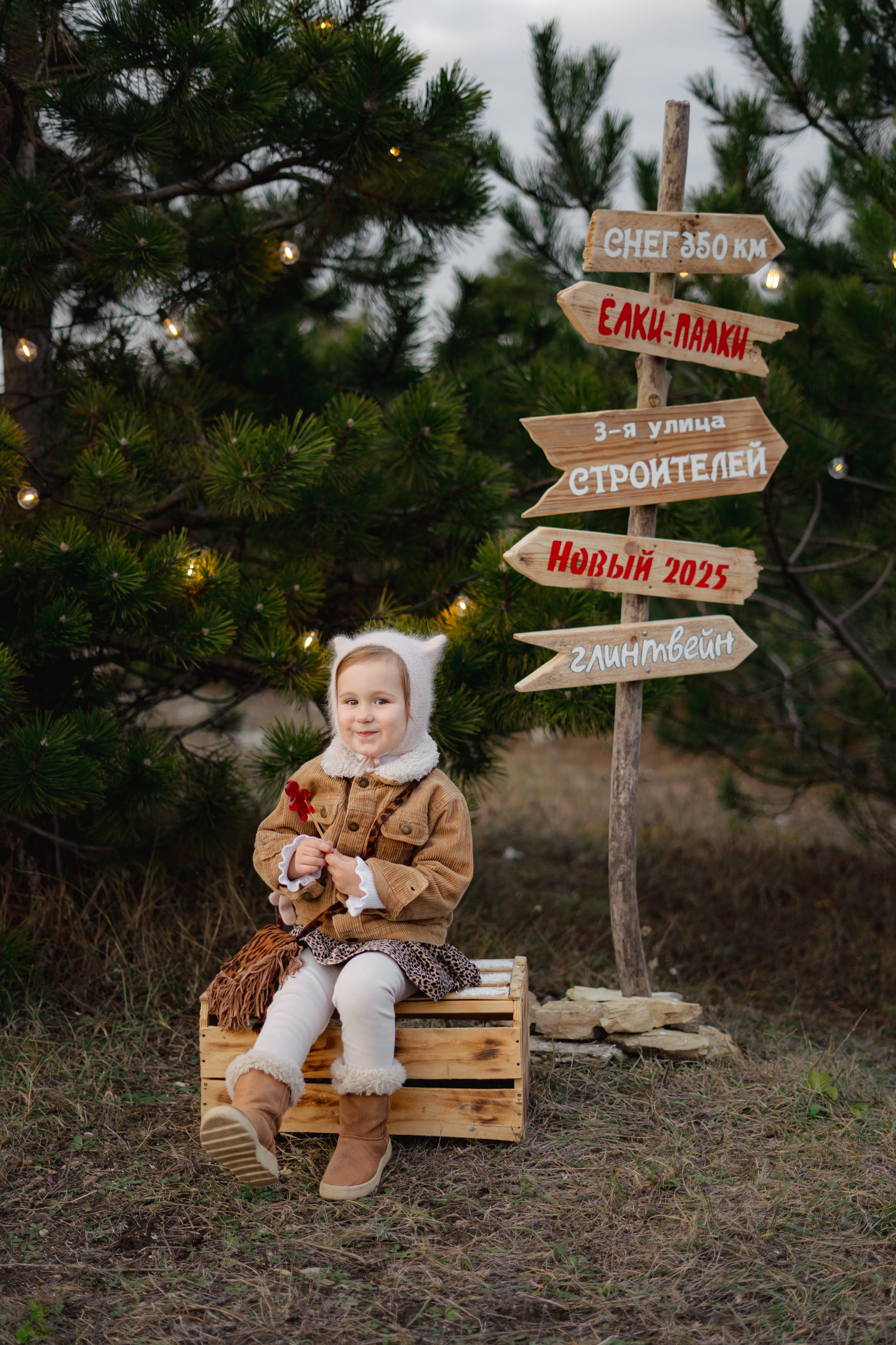 Новогодние. Елена Луковская. Семейная, портретная, репоражная съёмка