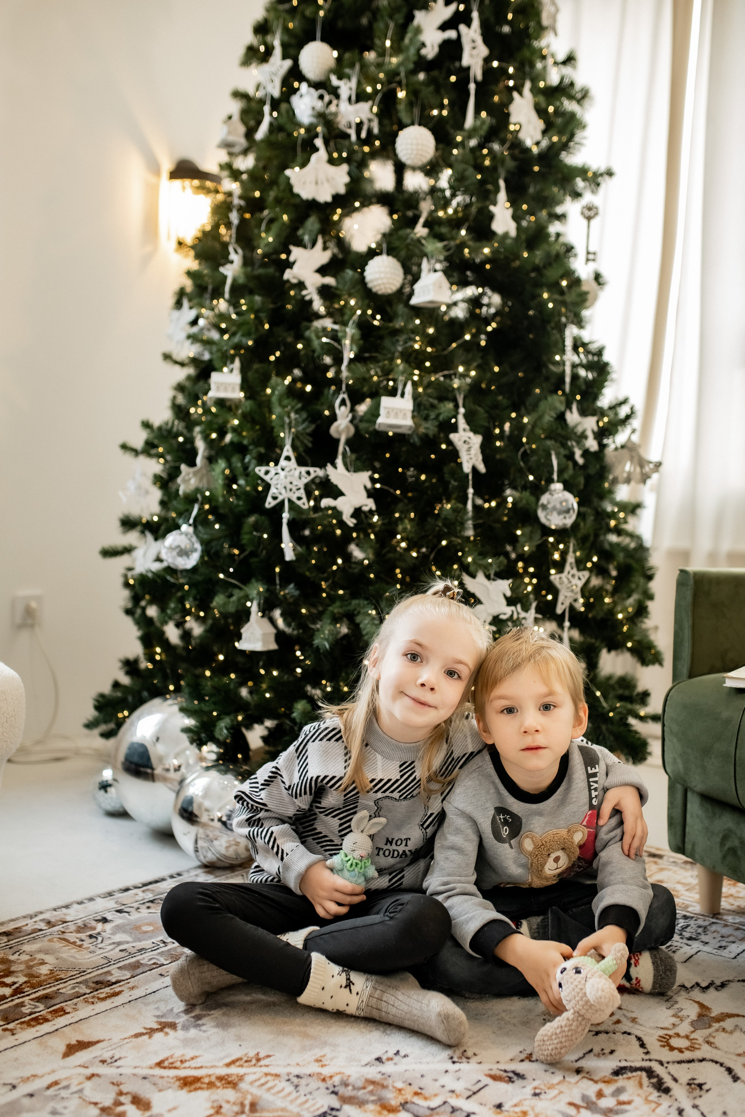 Веселый новый год!. Профессиональный фотограф, Москва |Видное Елена Елизарова