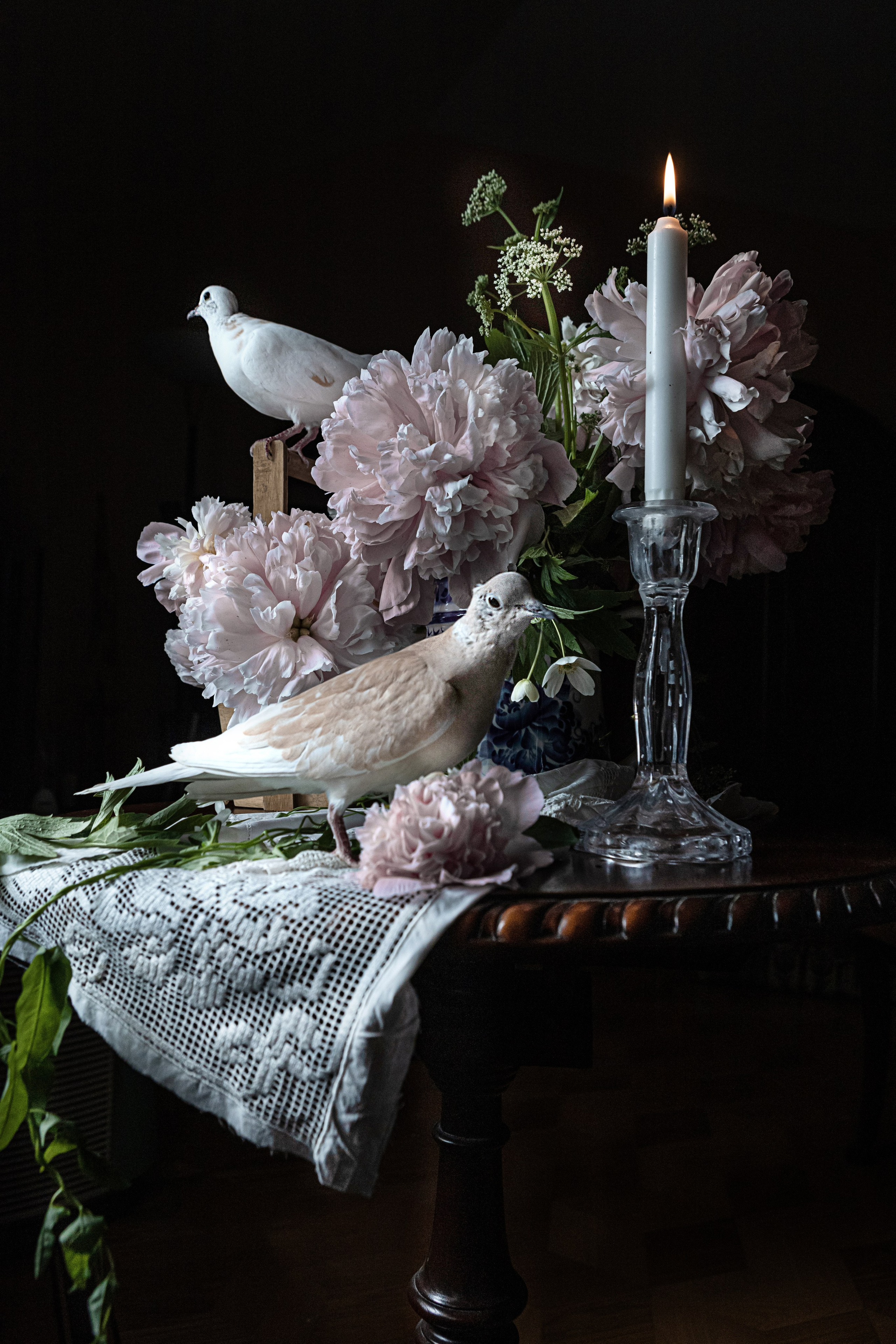 ЦВЕТЫ И ГОРЛИЦЫ. Фотограф на крестины