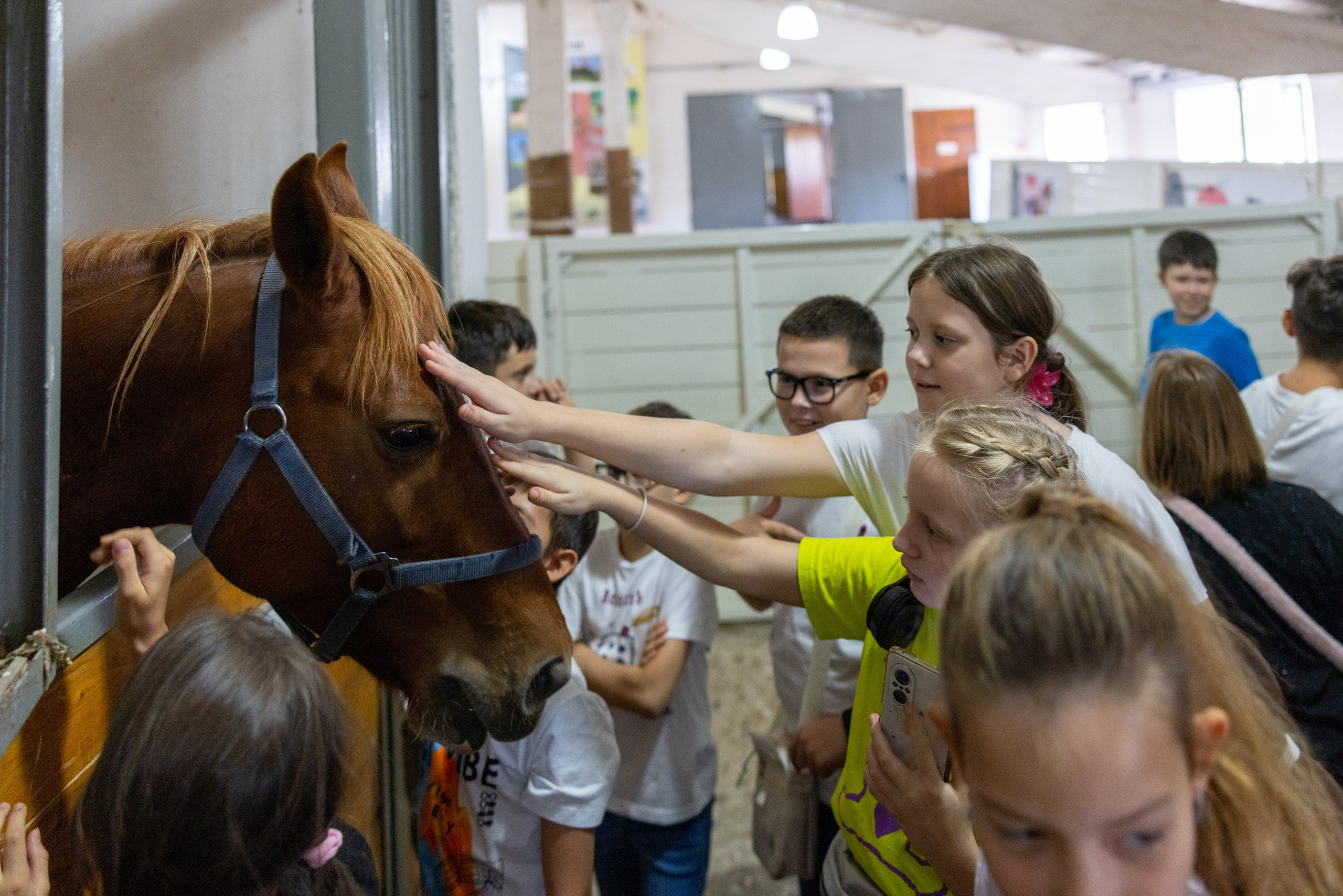 Поездка на поле Кулеково. Фотограф в Туле Крупский АнДРей. Фотостудия «КАДР71» в Туле