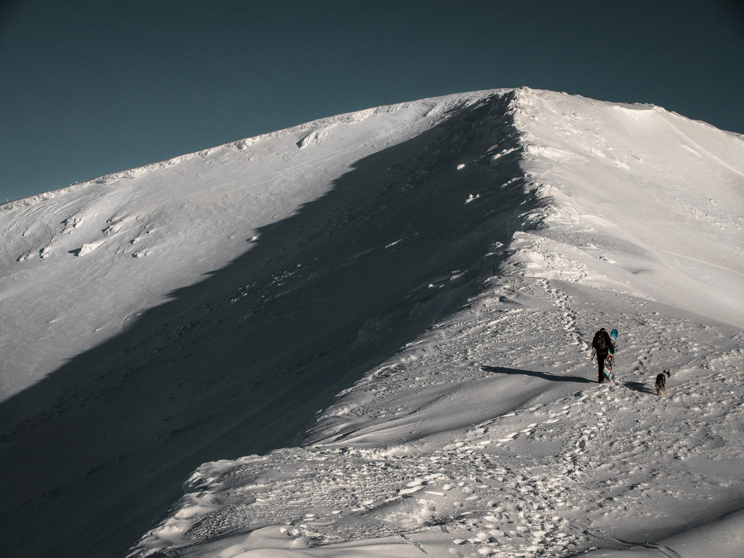 Хибины. Фотограф анималист Никита Натальный