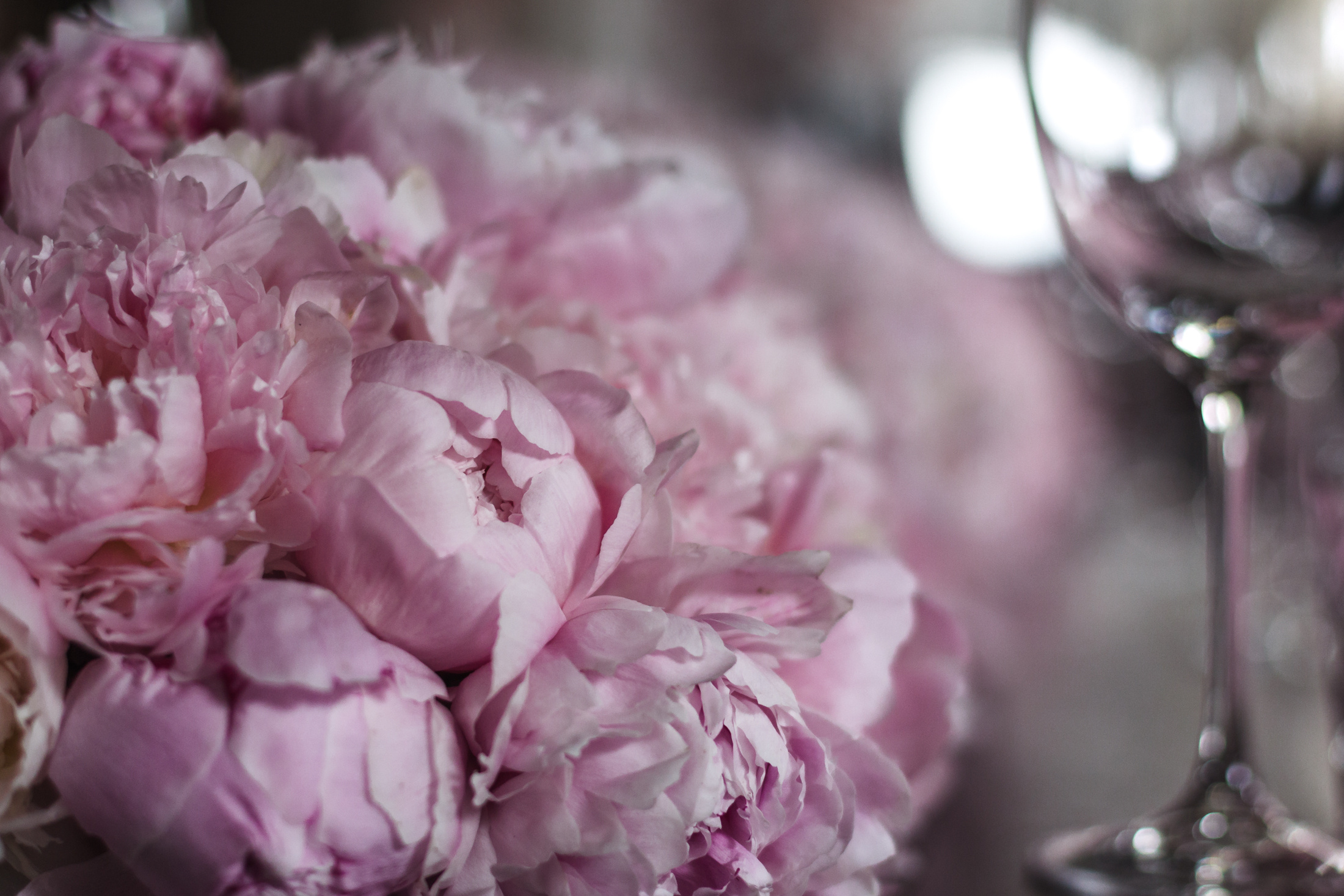 Ресторан рыбы нет. Флорист Маргарита Гладкова