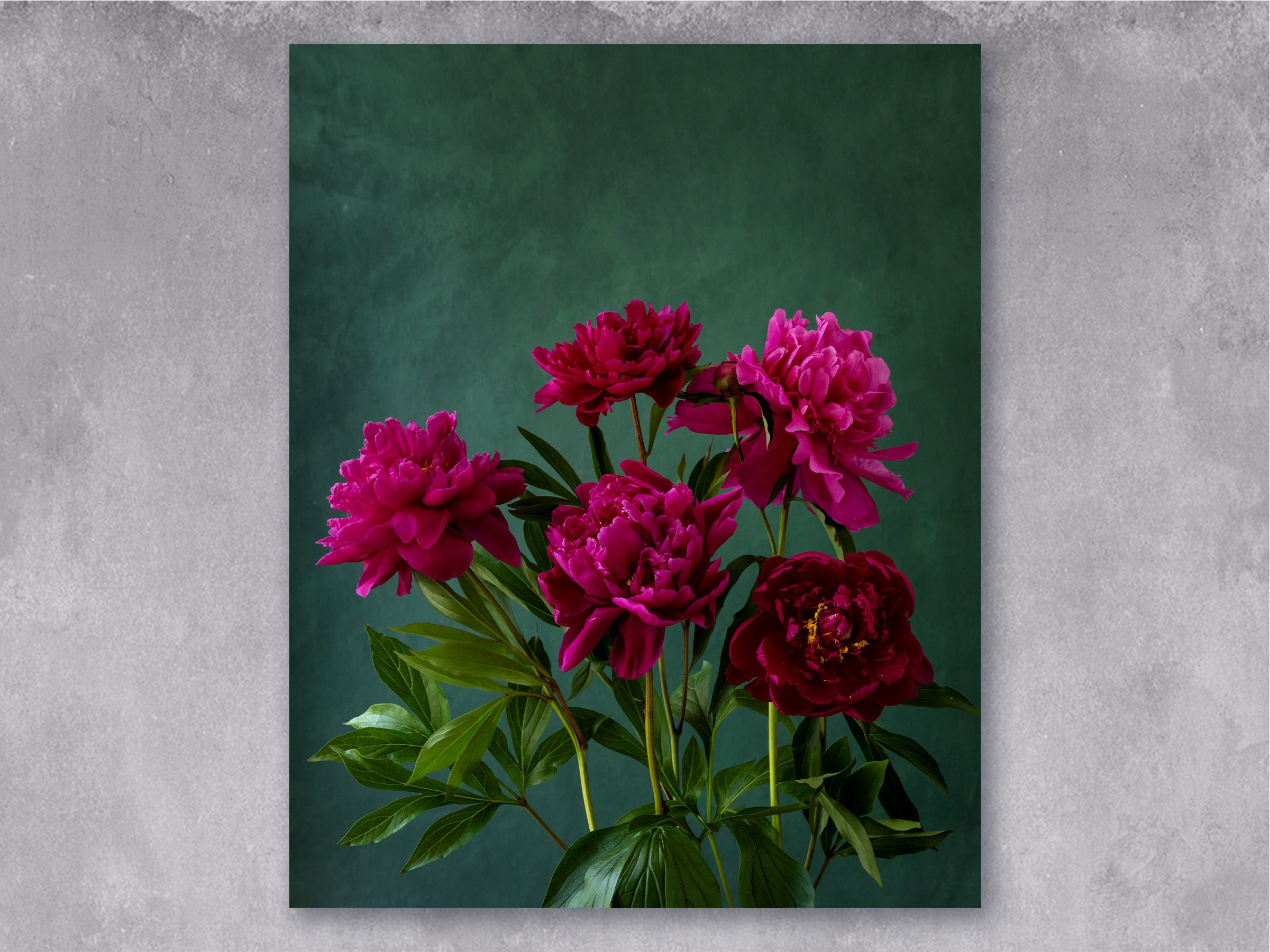 Ruby Sparks. Author’s fine art prints with international delivery