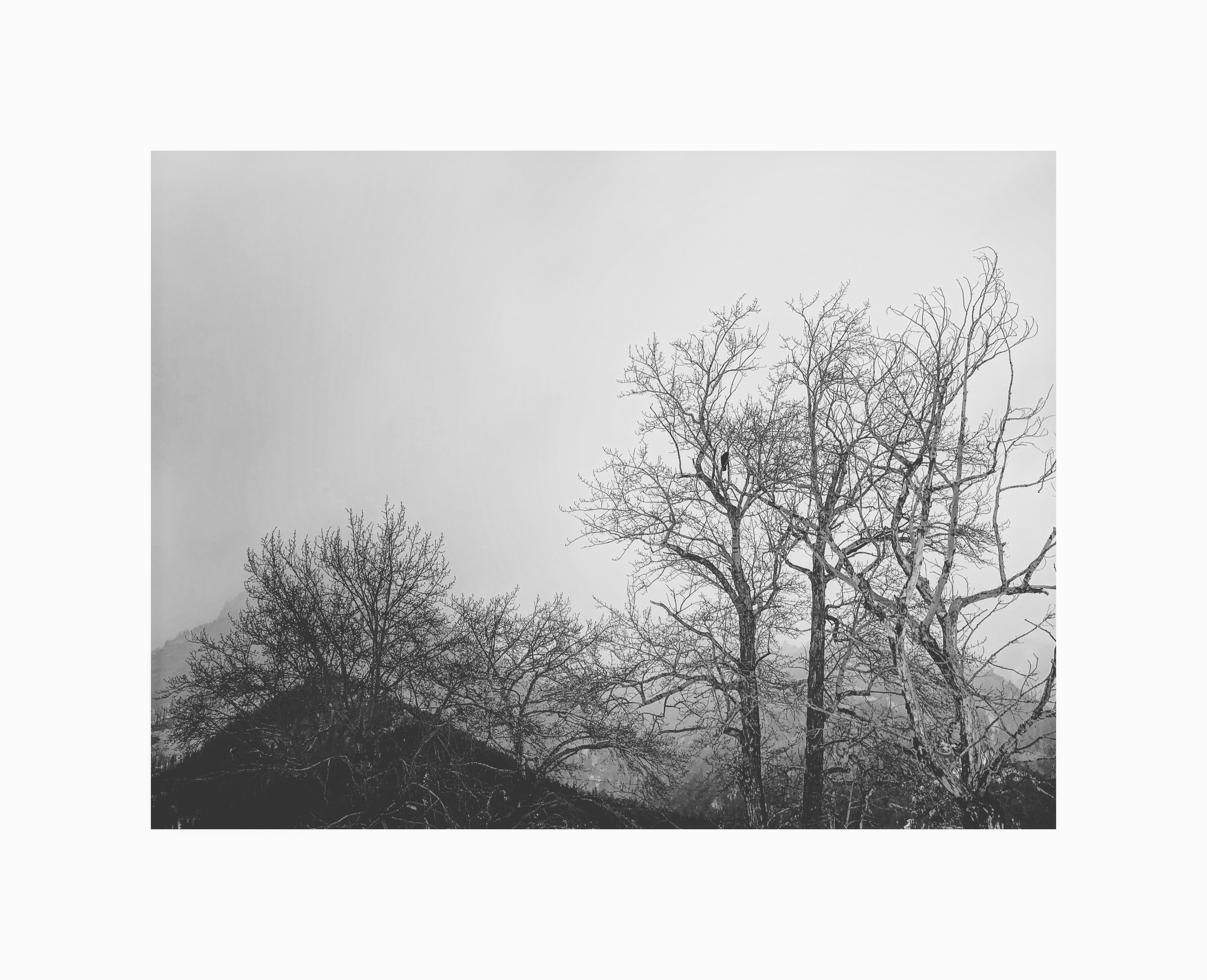 2022. Тащилин Сергей. Фотографии. Жизнь. Хобби