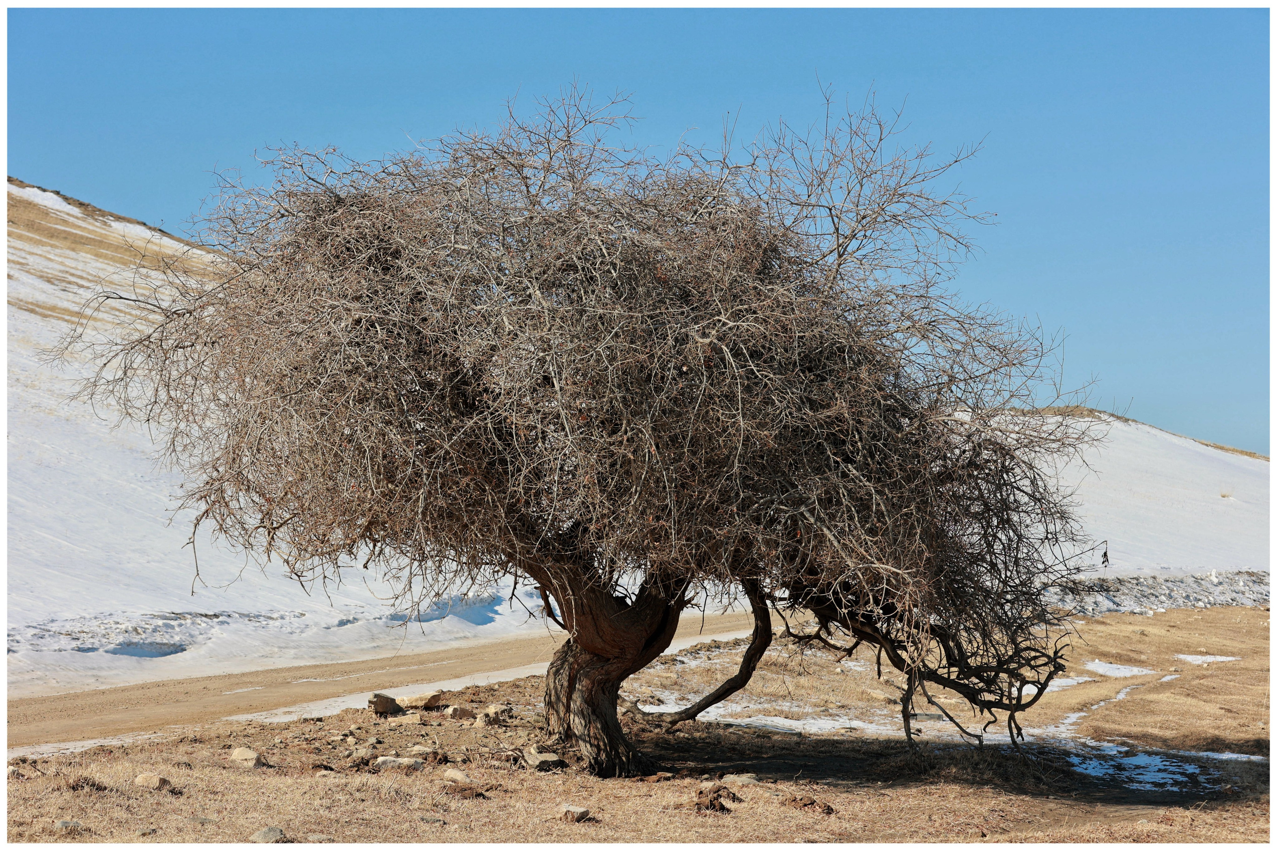 2022. Тащилин Сергей. Фотографии. Жизнь. Хобби