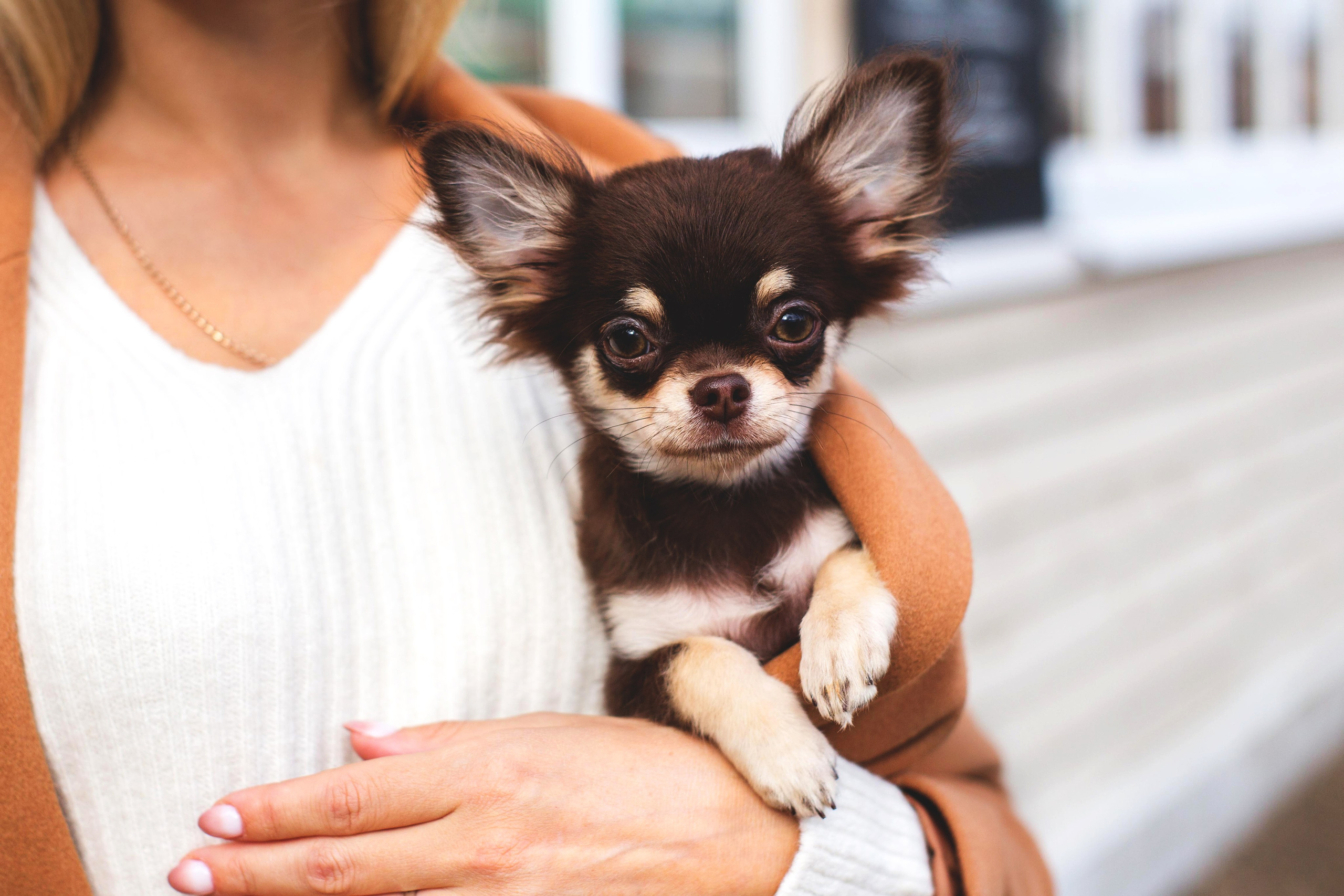 Ольга и Изи. Https://moshkovaphoto.ru/