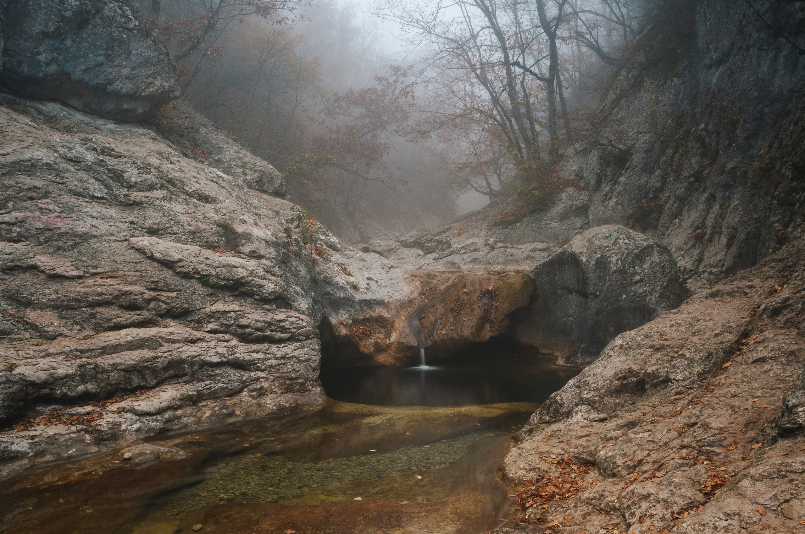 Пейзажи. Дмитрий Шалыгин — Ваш фотограф в Севастополе и Крыму
