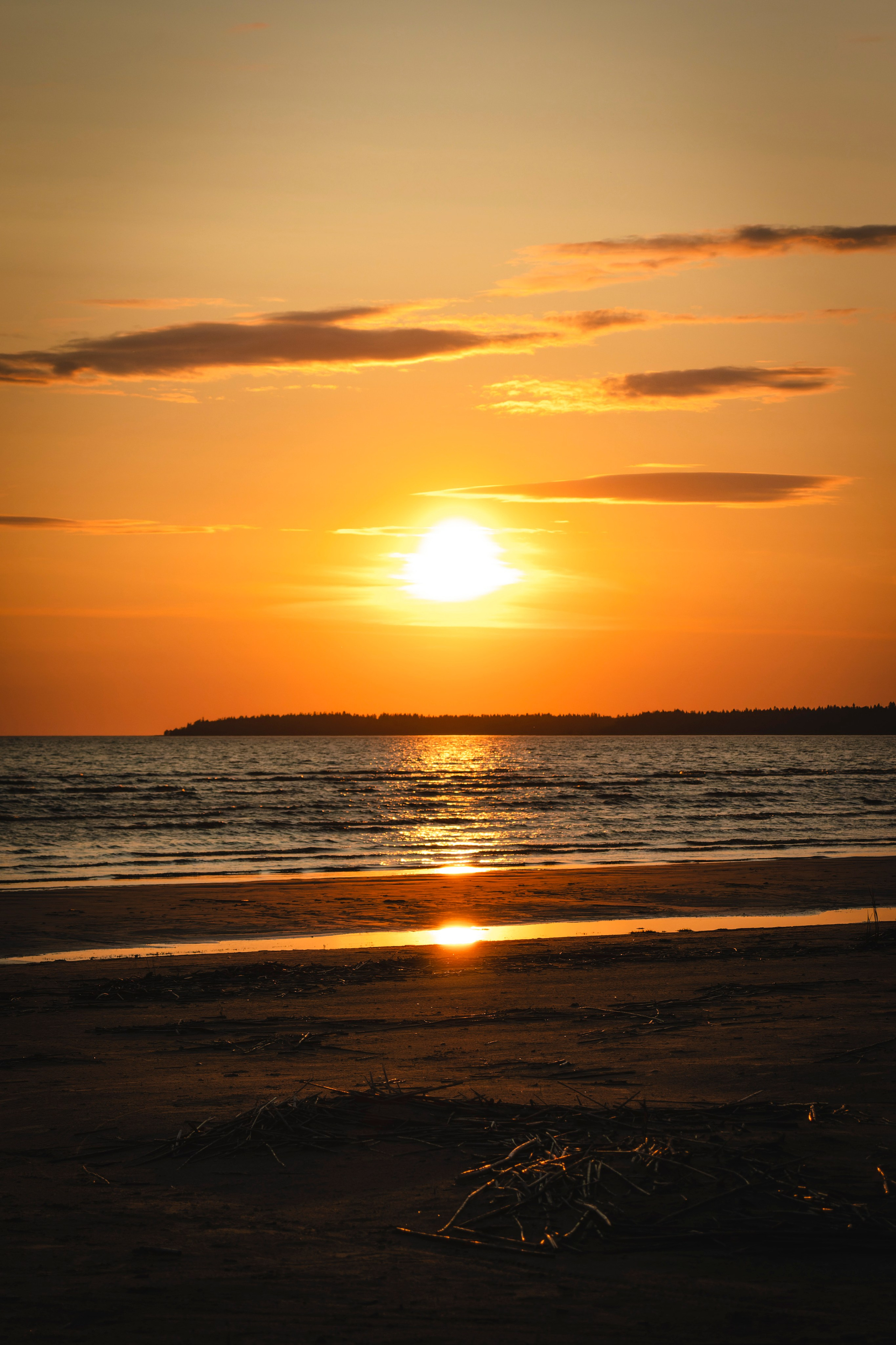 Из наблюдений. Плак или Квак