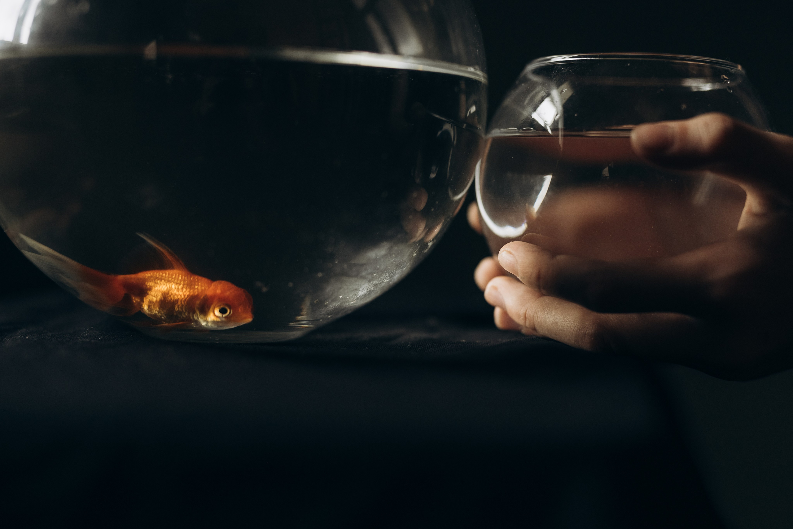 Сёстры. Фотограф Людмила Оюн