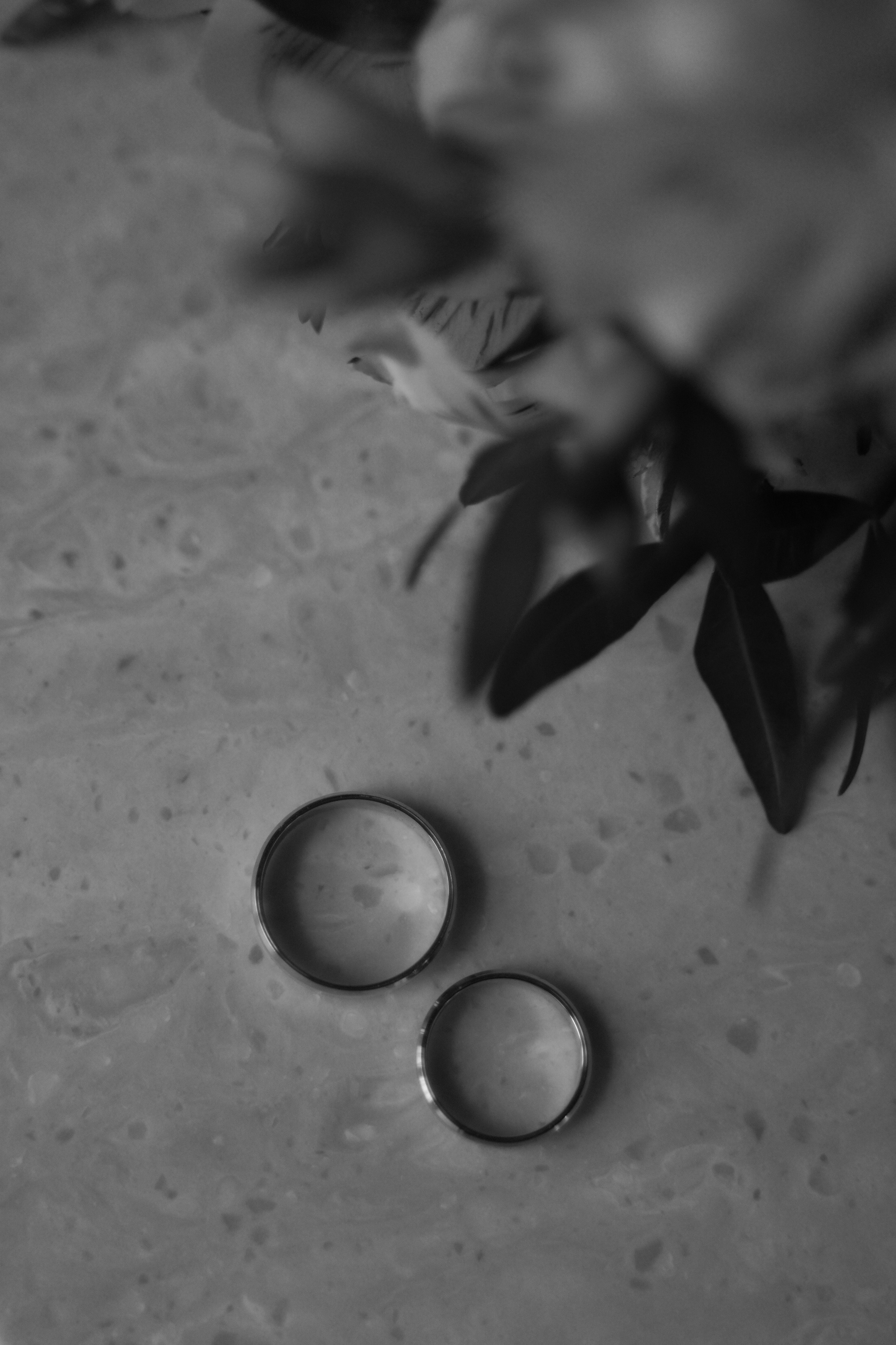 Яна и Александр. Свадебный фотограф Марина Попова