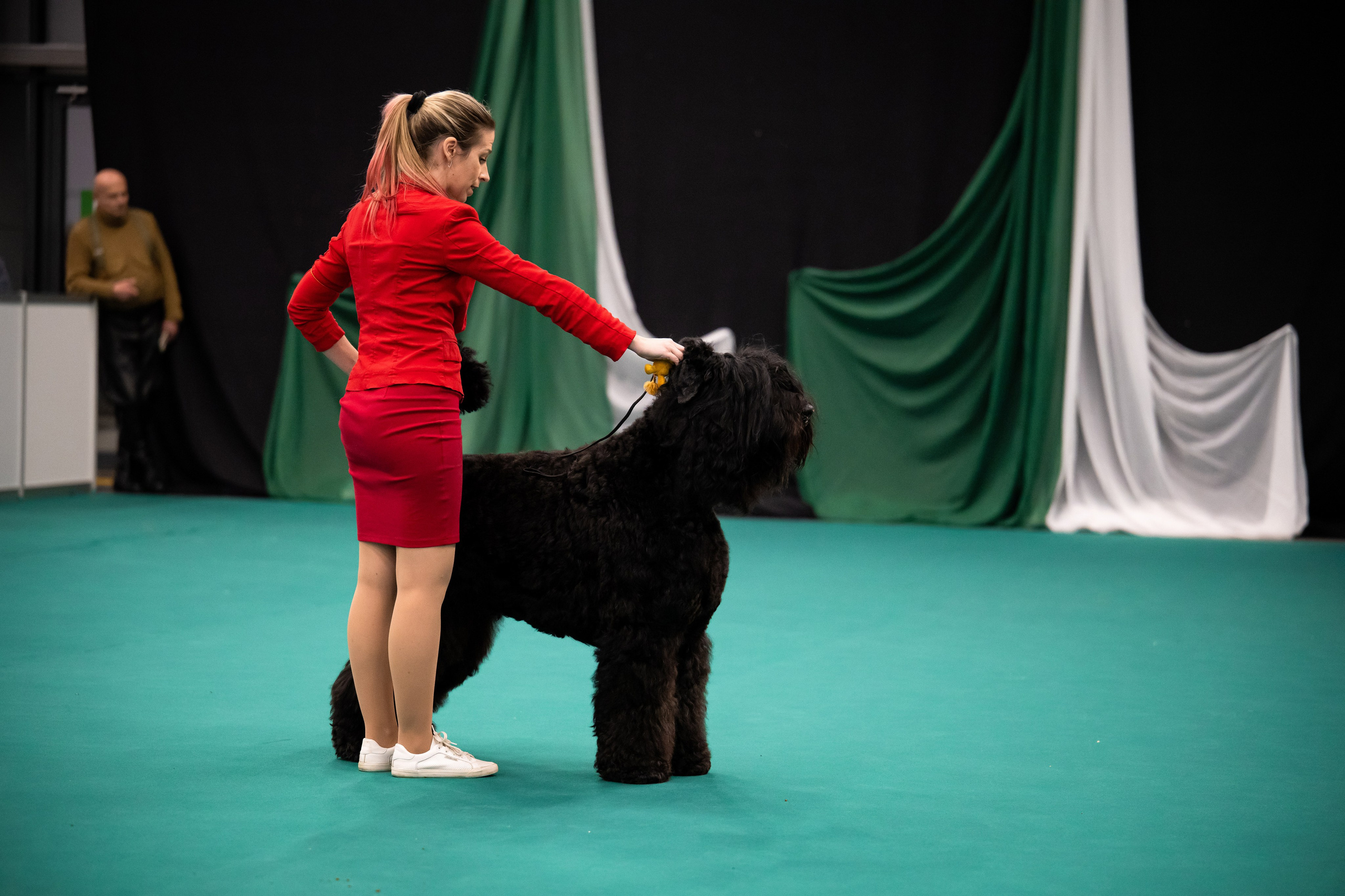 Собаки. FASHION ФОТОГРАФ КАЗАНЬ