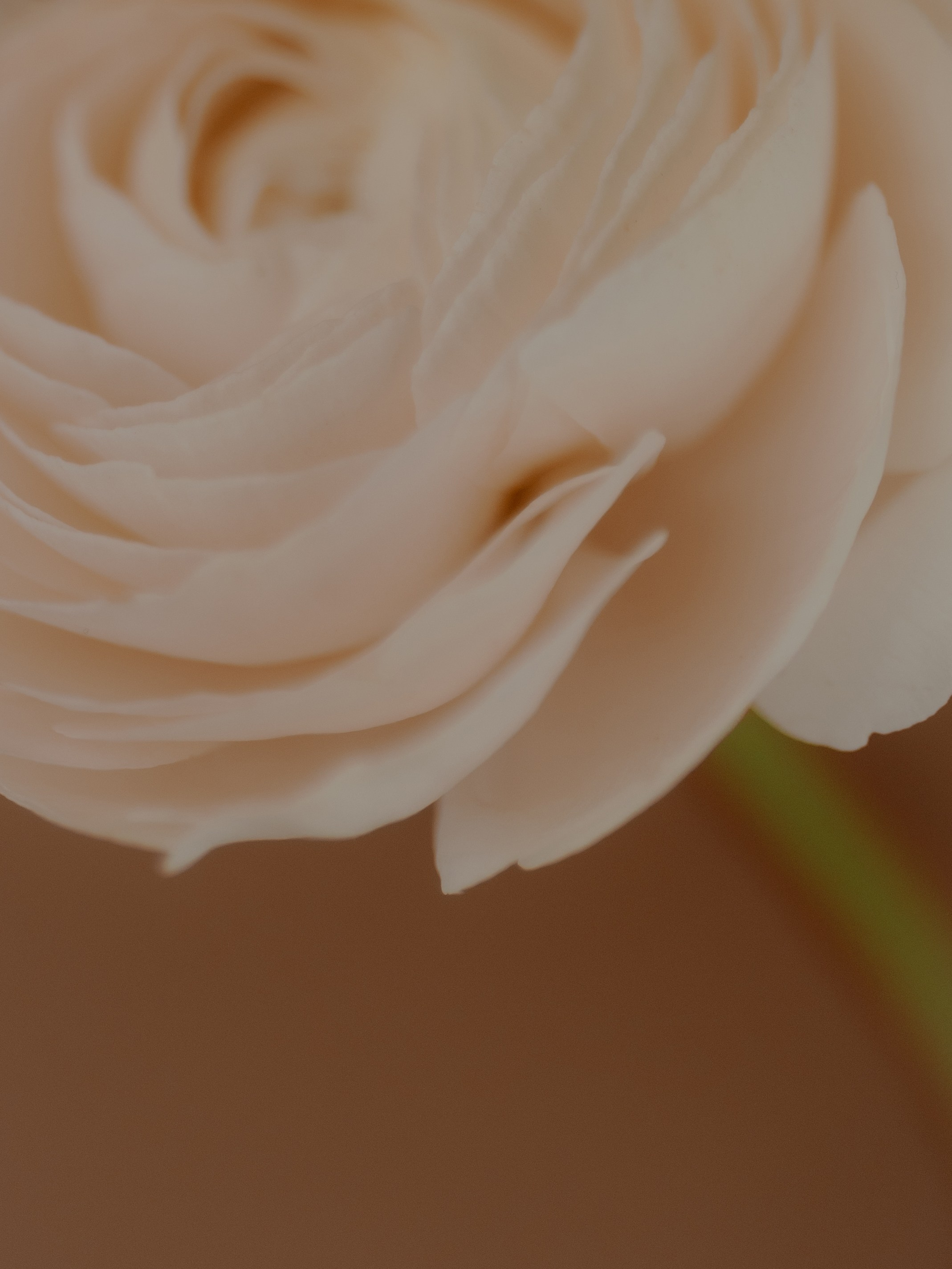 Мария в ArtModa (вариант утра невесты). Свадебные фотографы в Гомеле и Минске Сергей и Анастасия Фещенок