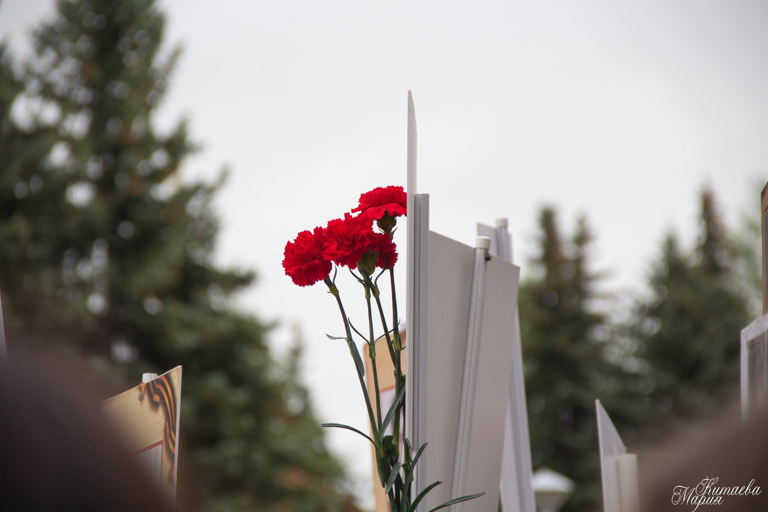 День Победы в Городце 2022 | Репортажная фотосъёмка. Фотограф Нижний Новгород Мария Китаева