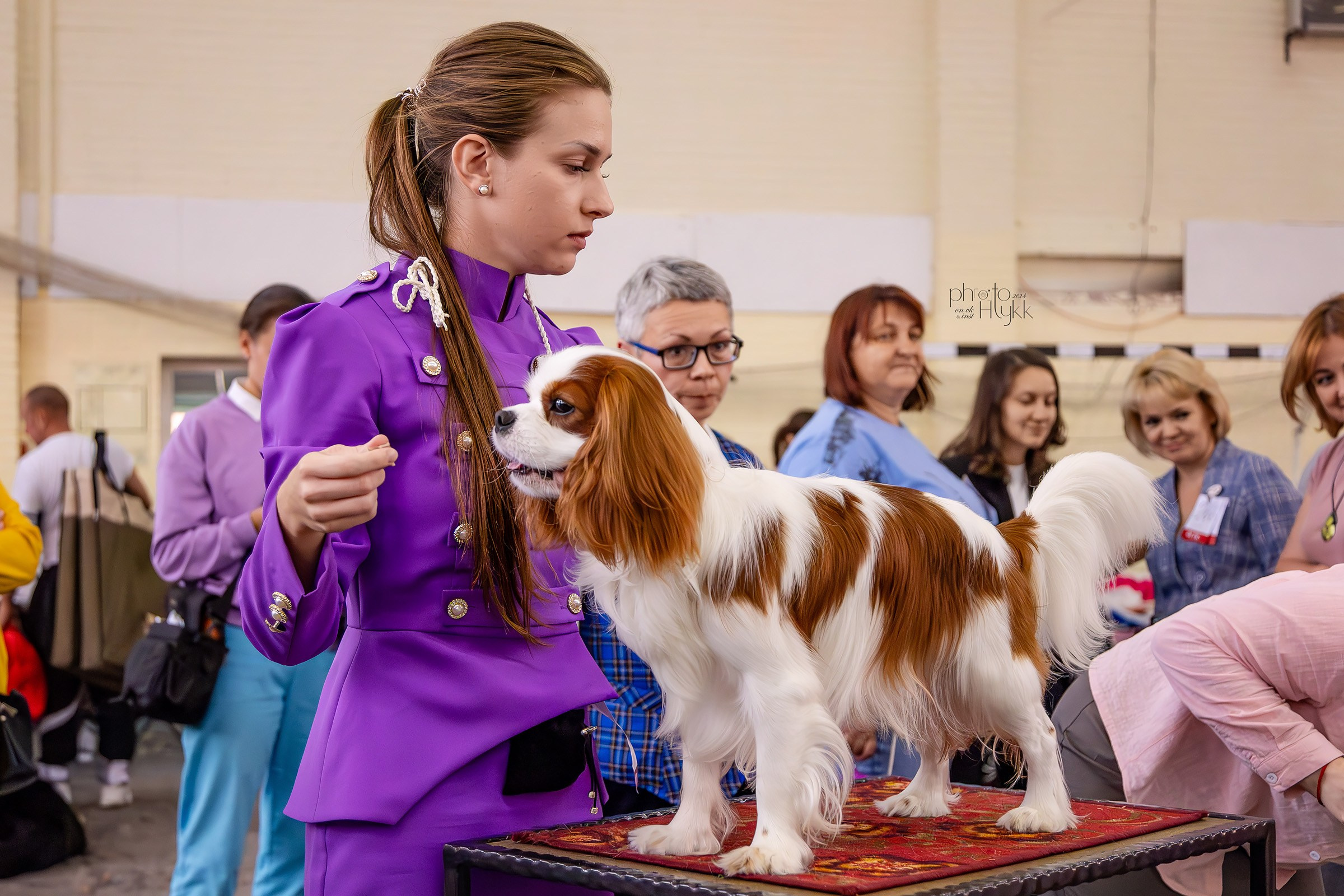 11 августа 2024, Выставка РКФ, г. Ижевск. Htykk_photo