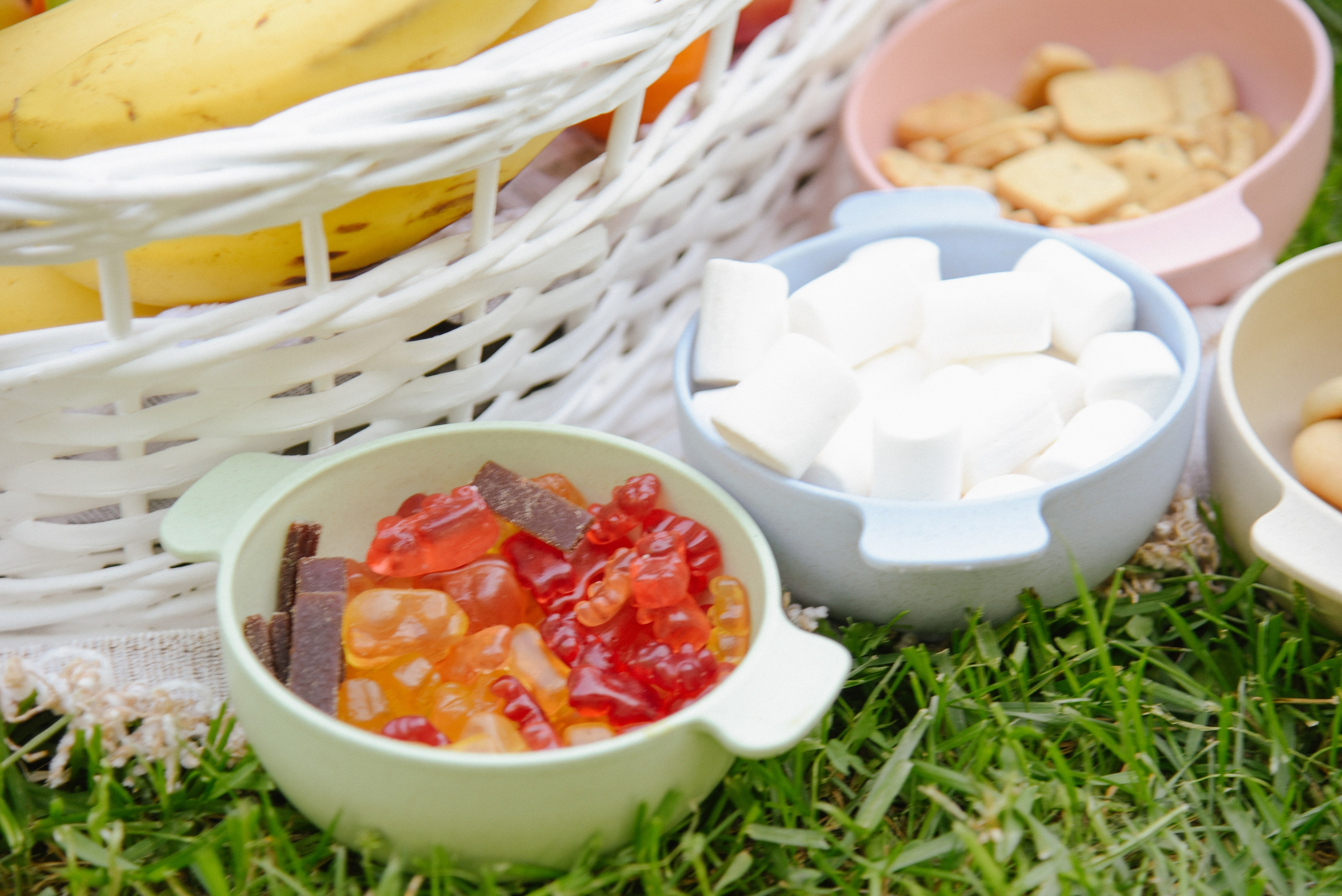 Мамский пикник. Фотограф Лола Волна, город Москва