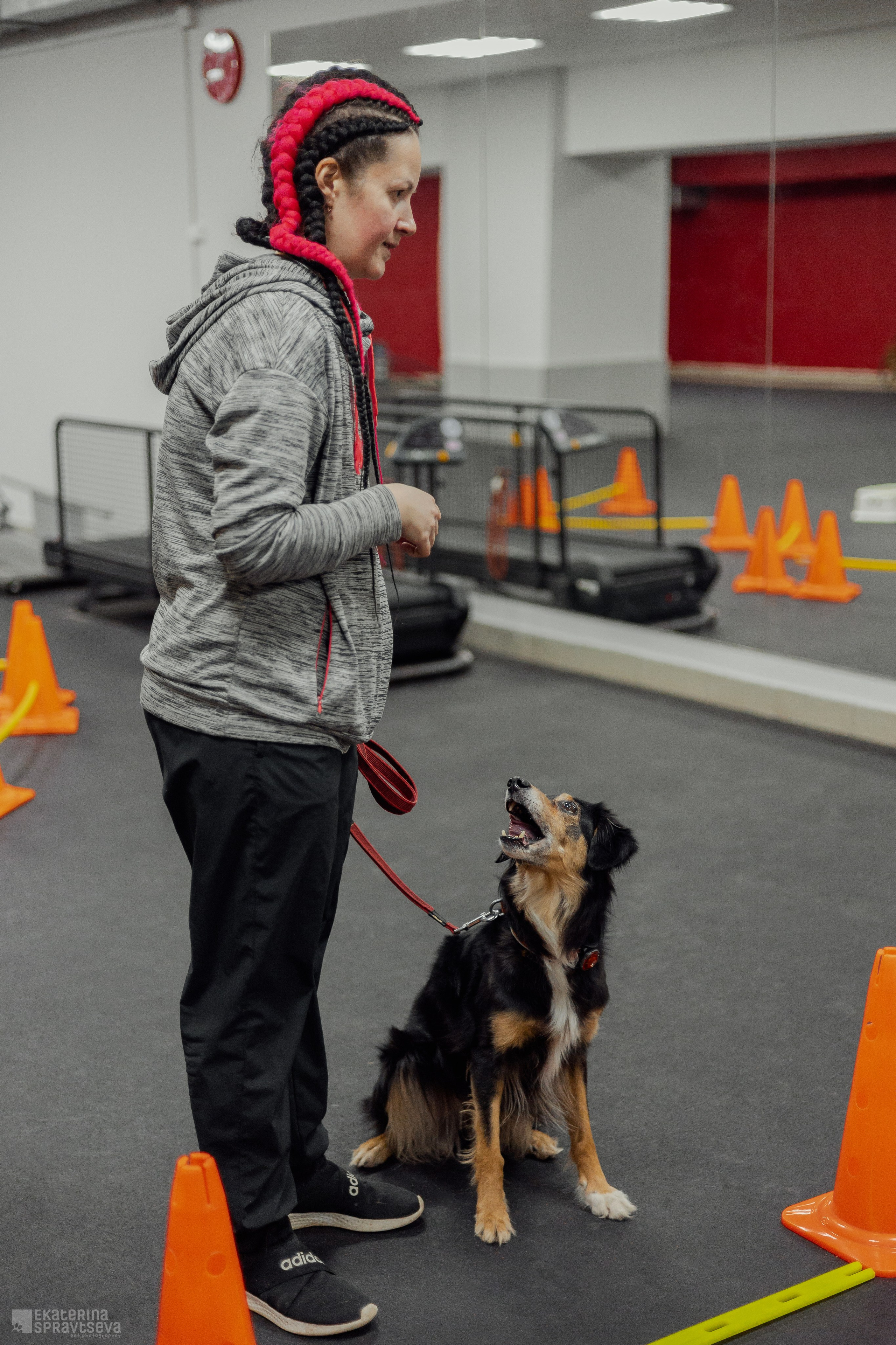 NoseWork. Фотограф Анималист Екатерина Справцева в Нижнем Новгороде