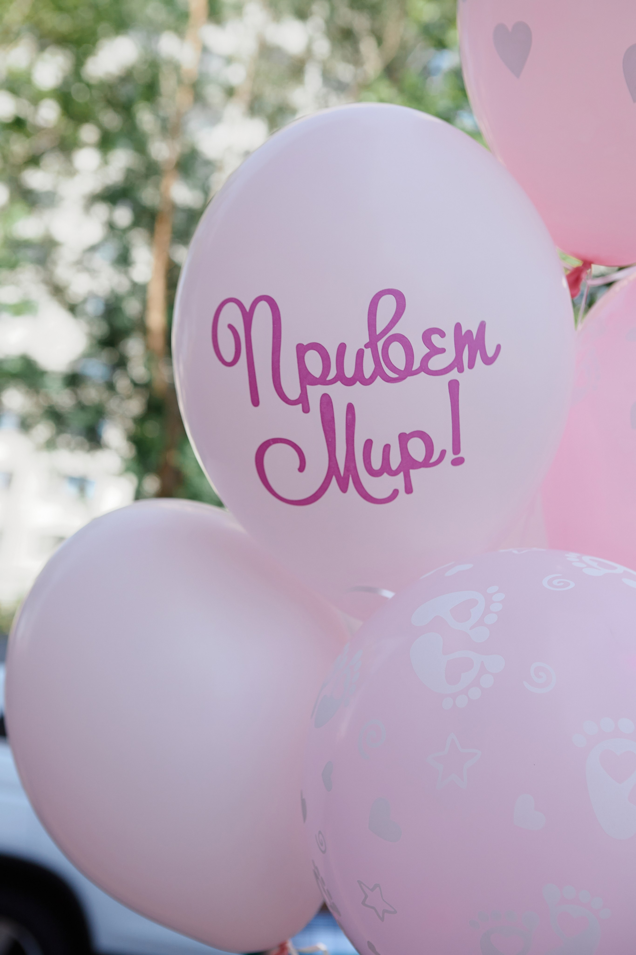 Выписка Анечки. Свадебный и семейный фотограф в Сочи-Красной поляне Ларионова Анна