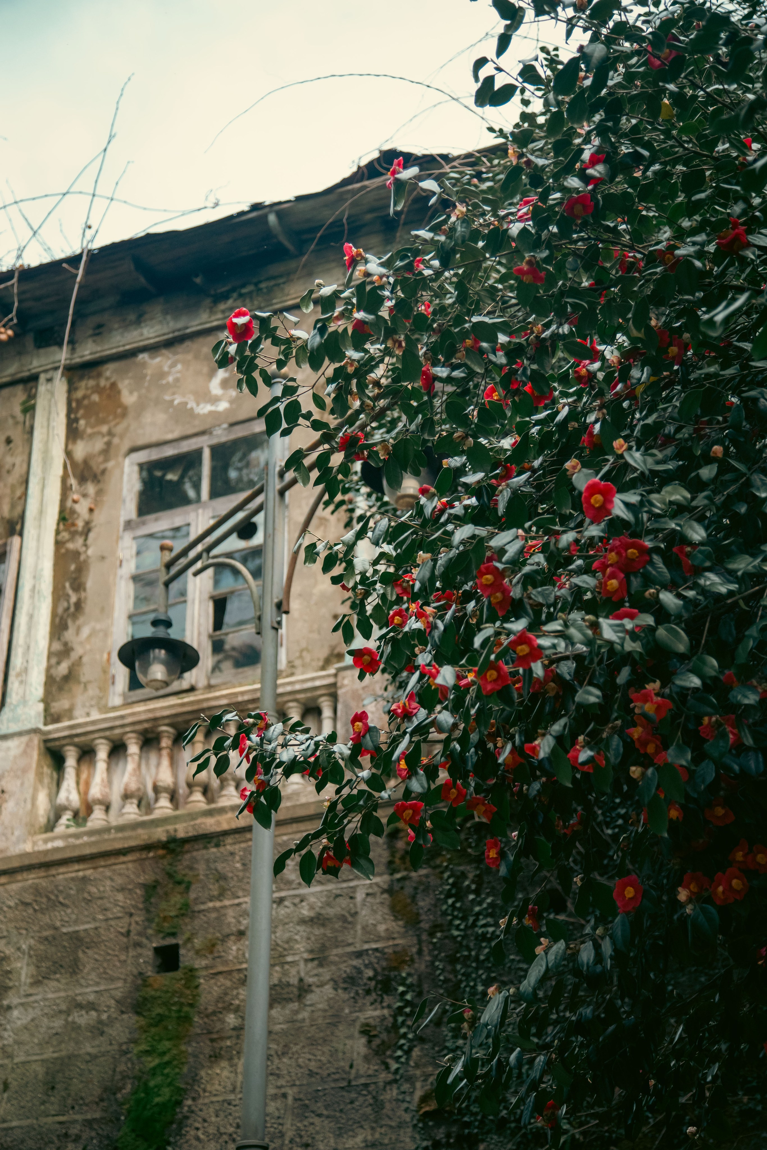 Batumi. Dmitriy [KCCC] is a pretty cool photographer