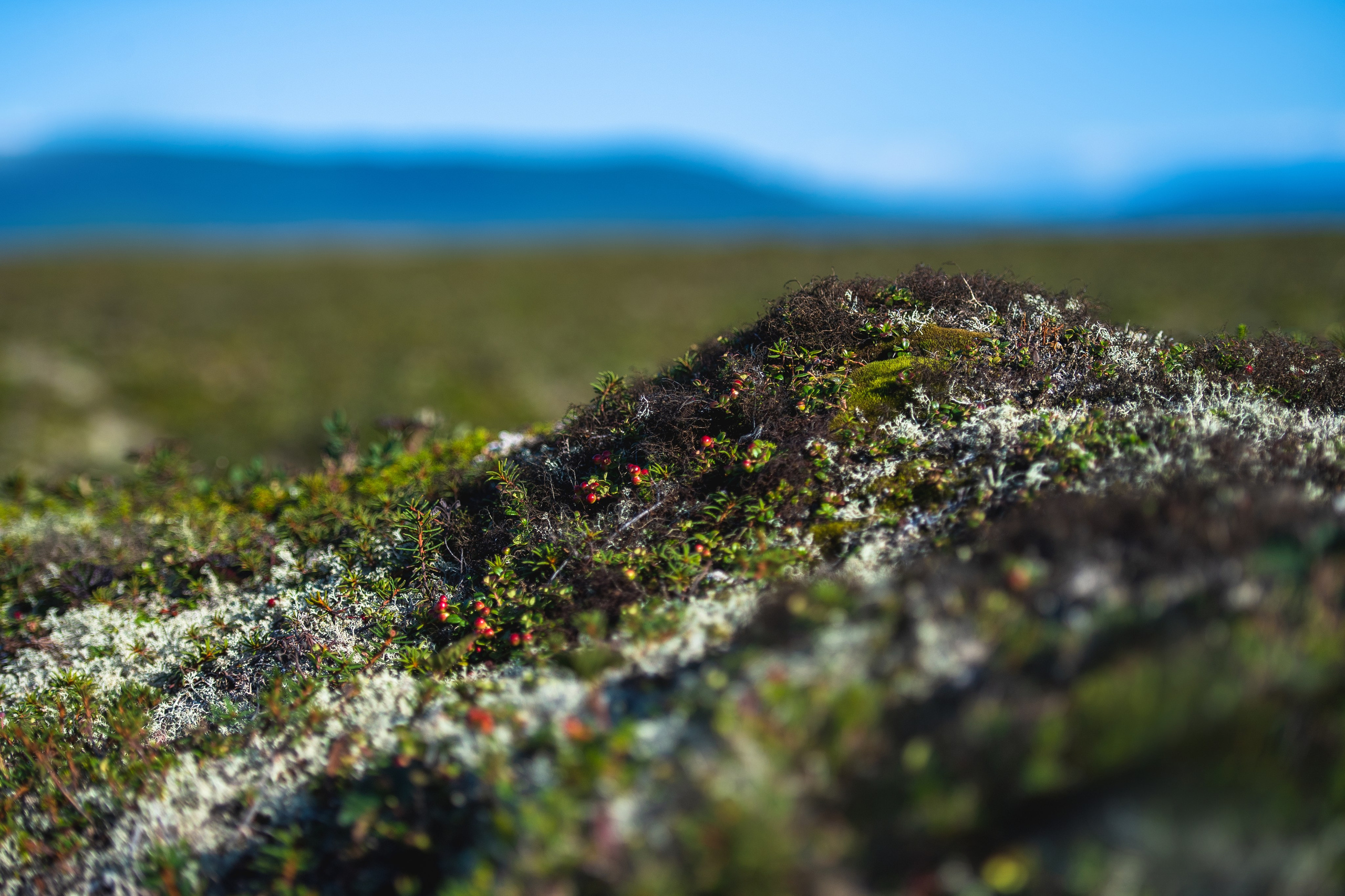 Камчатка. Фотограф в Санкт-Петербурге Вихтинский Николай