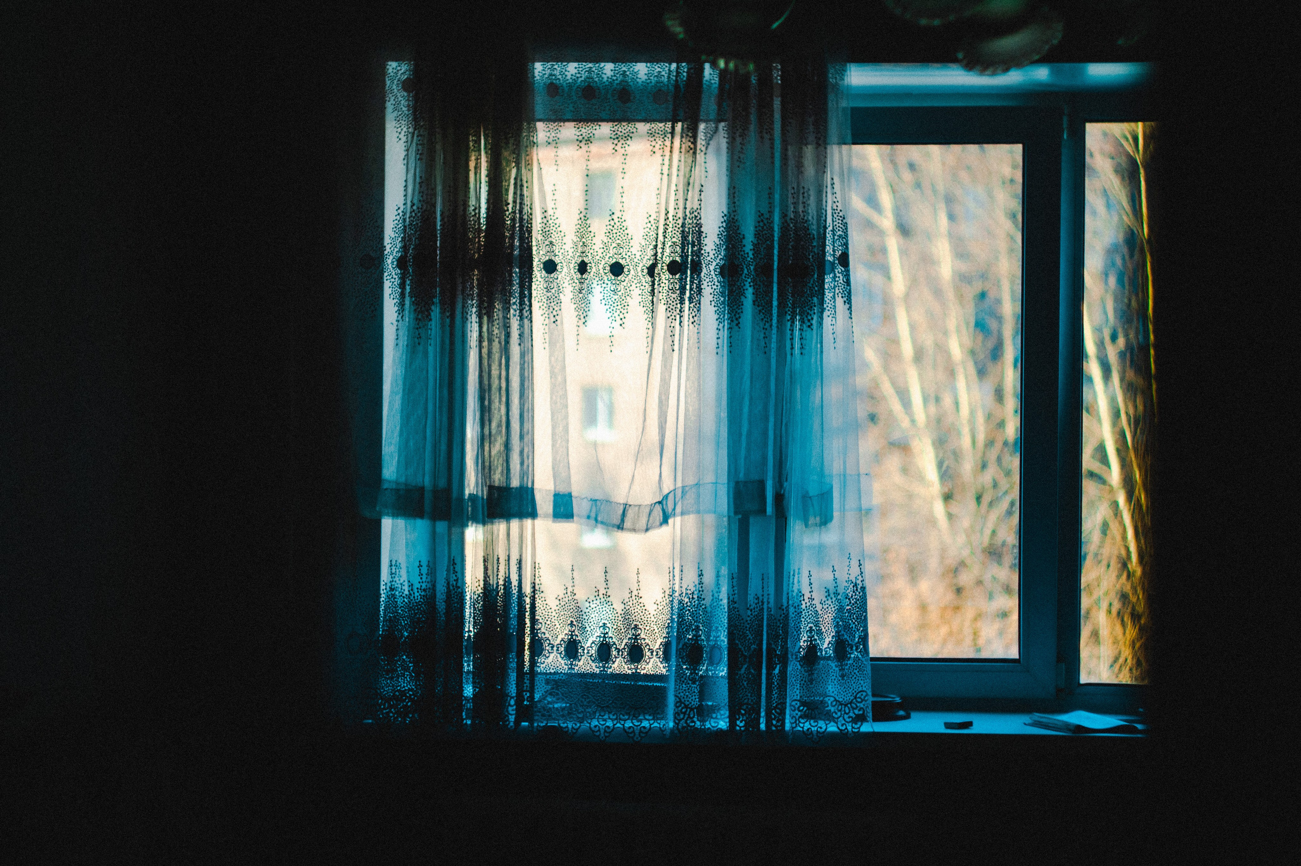 He spread his wings. Den Mirov — Photographer, Musician