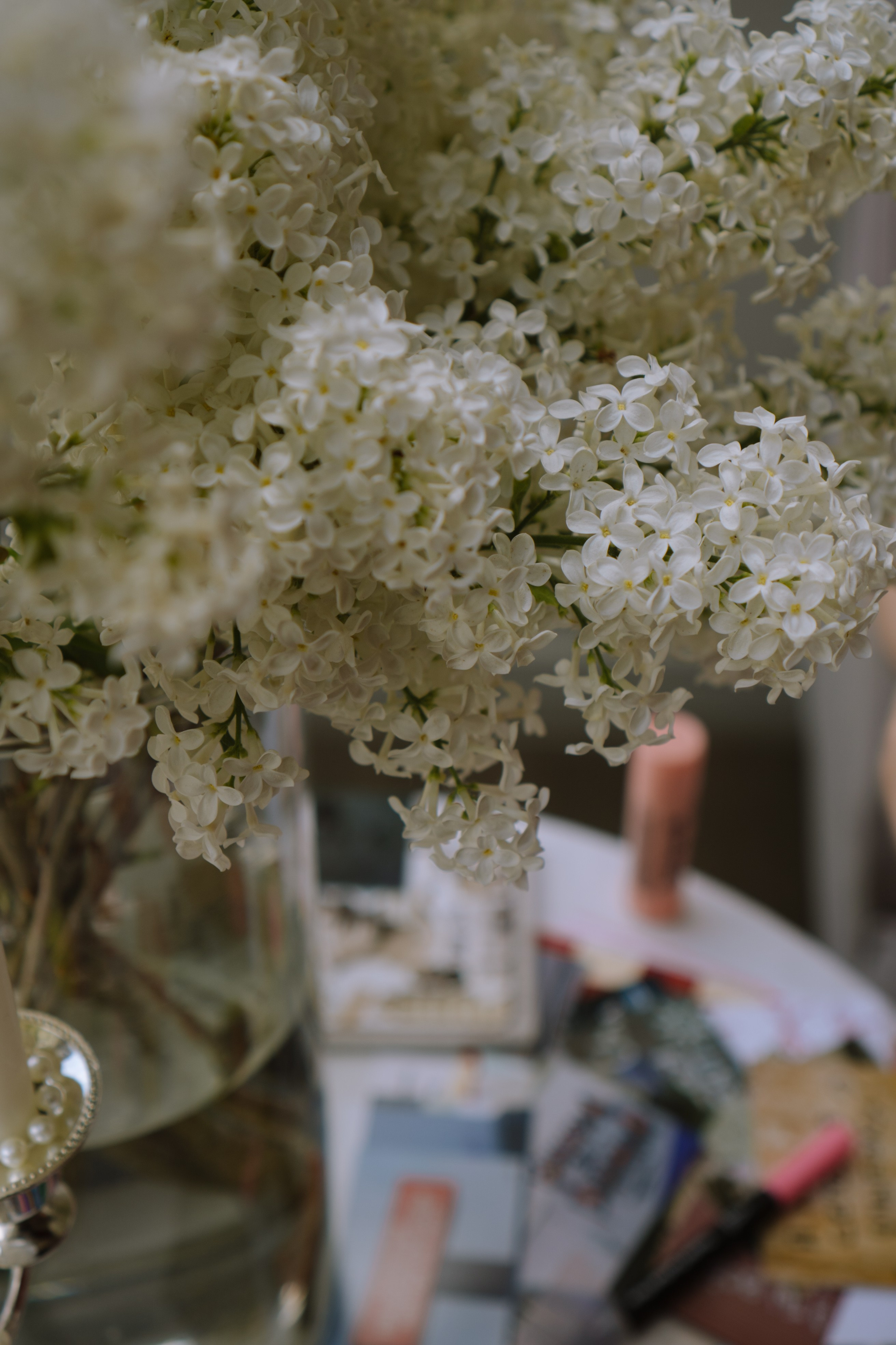 СВАДЕБНЫЙ БАНКЕТ НА ВЛАДИМИРСКОЙ В САНКТ-ПЕТЕРБУРГЕ (КАМЕРНАЯ СВАДЬБА). Профессиональный фотограф, Санкт-Петербург — Виктория Богомолова