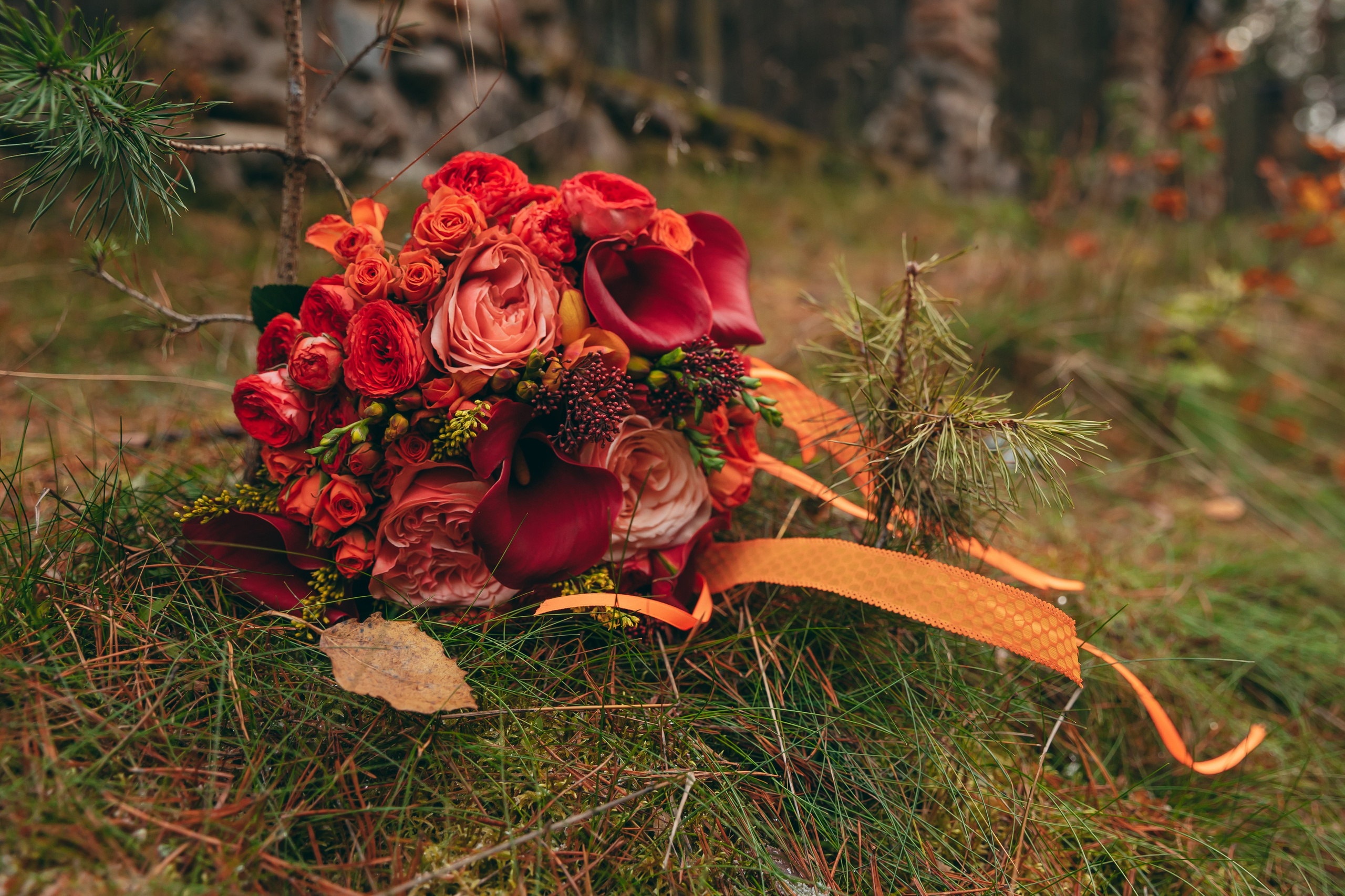Женя и Ира, Олд Милл + ЗАГС Приморского района. Семейный фотограф в Санкт-Петербурге Алиса Мохова