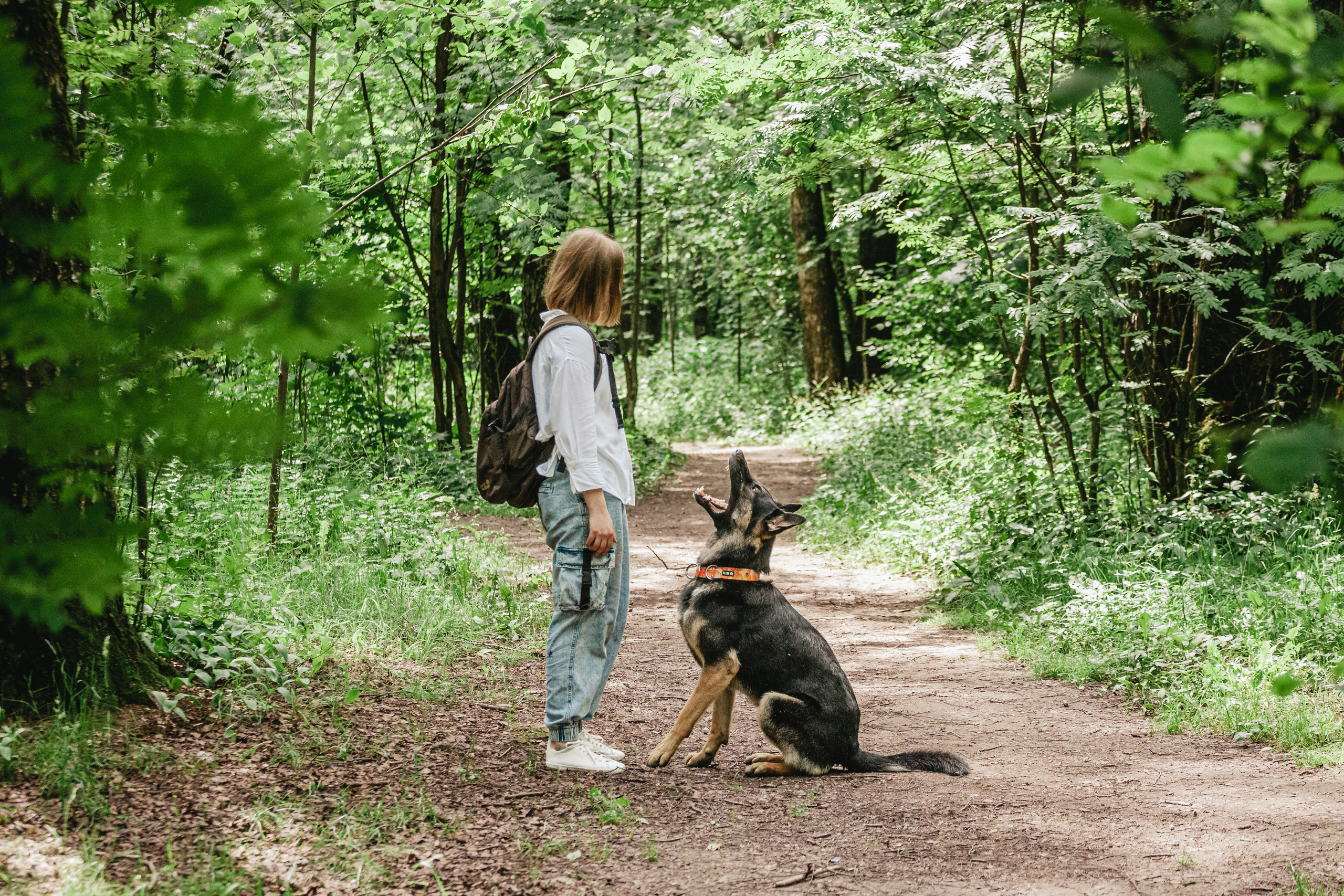 Лесная летняя фотопрогулка. Фотограф-анималист Татьяна Степанова