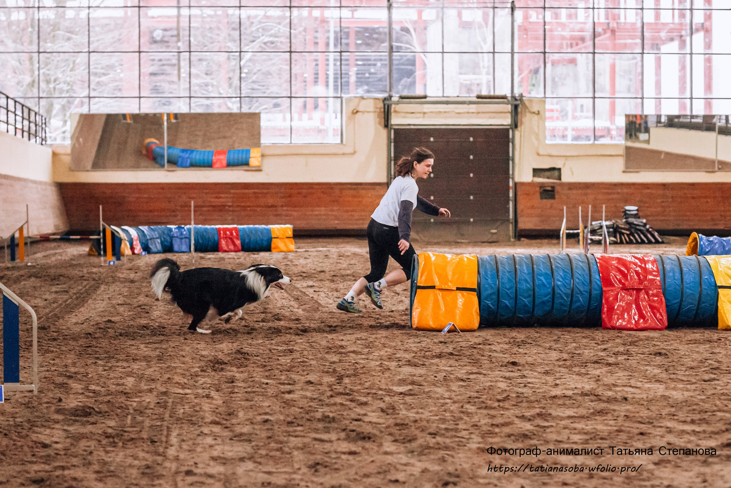 Соревнования по Аджилити 25.02.2024. Фотограф-анималист Татьяна Степанова