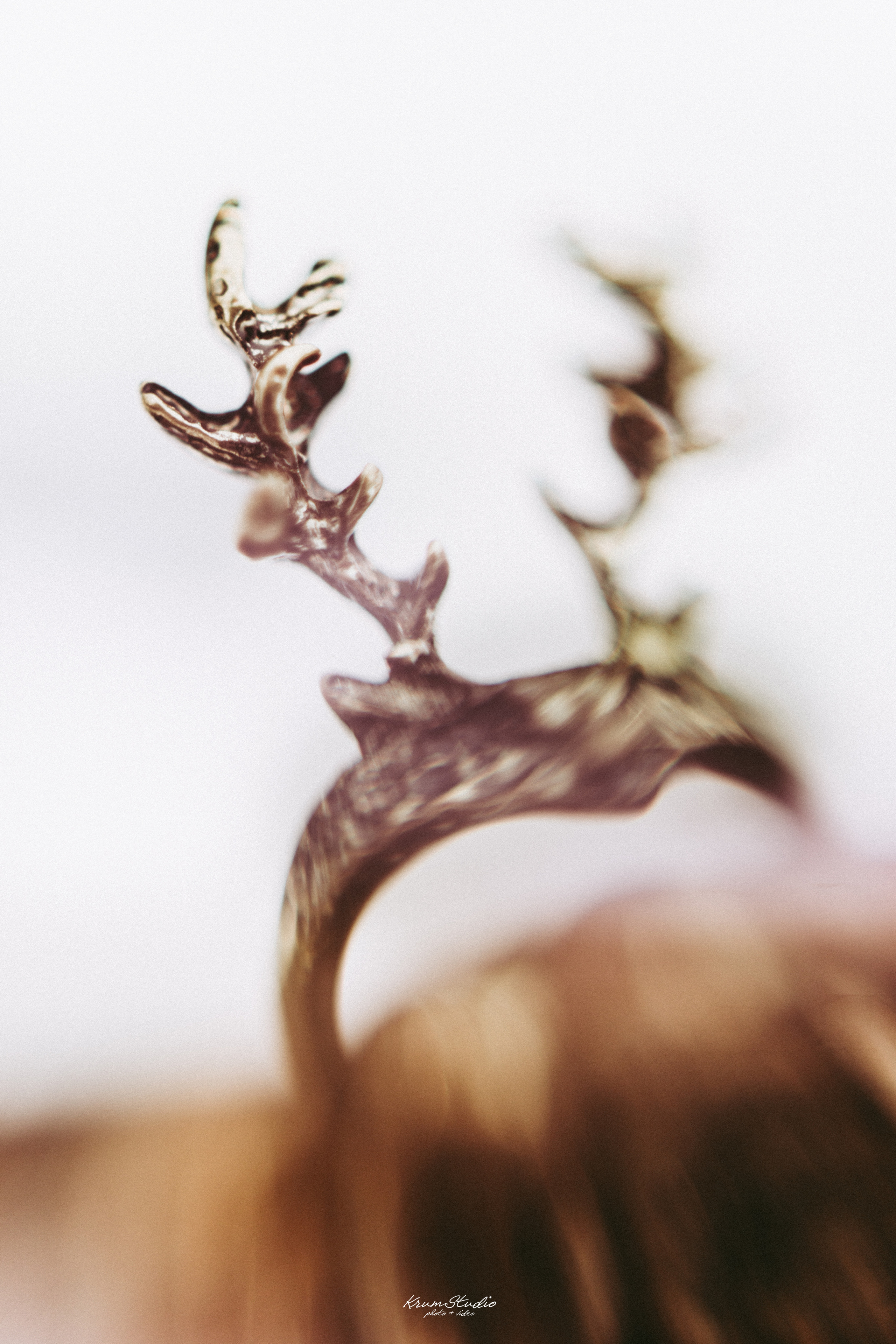 Фотосъемка Свадьба Москва. Krumstudio фото, видео по Москве и МО