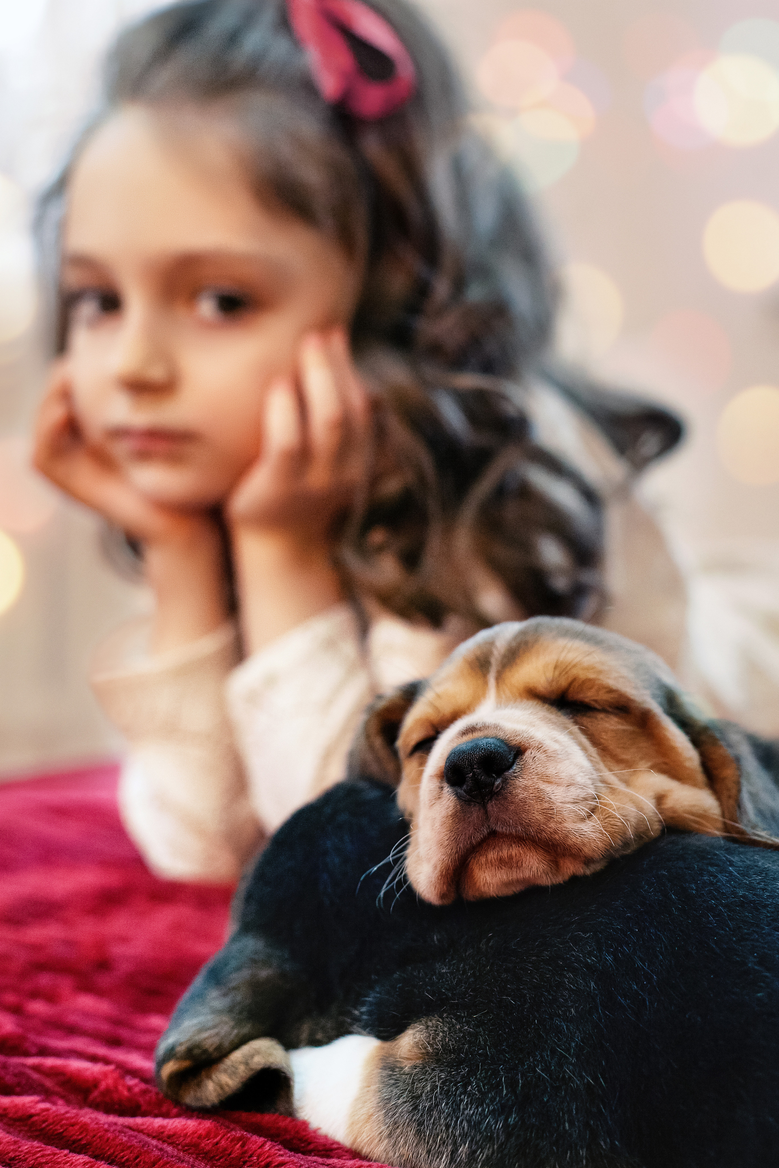 Детская фотография с щенками бигеля