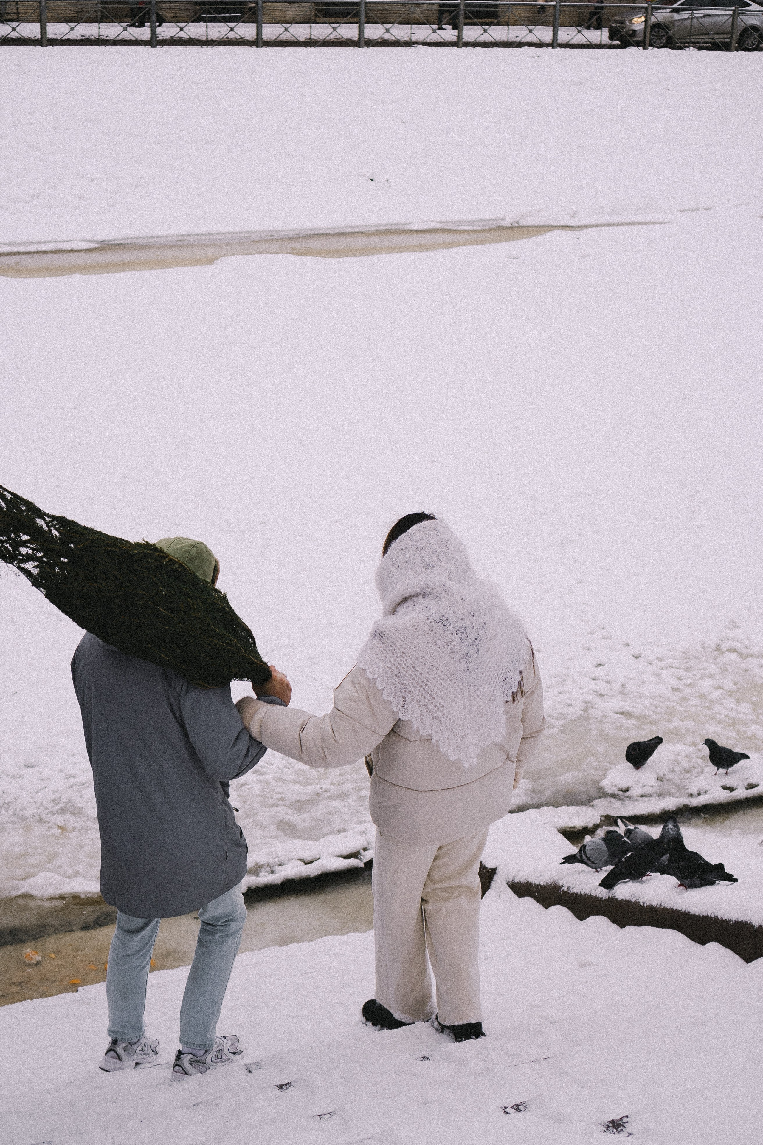 Зимняя история. Профессиональный фотограф, Санкт-Петербург — Виктория Богомолова