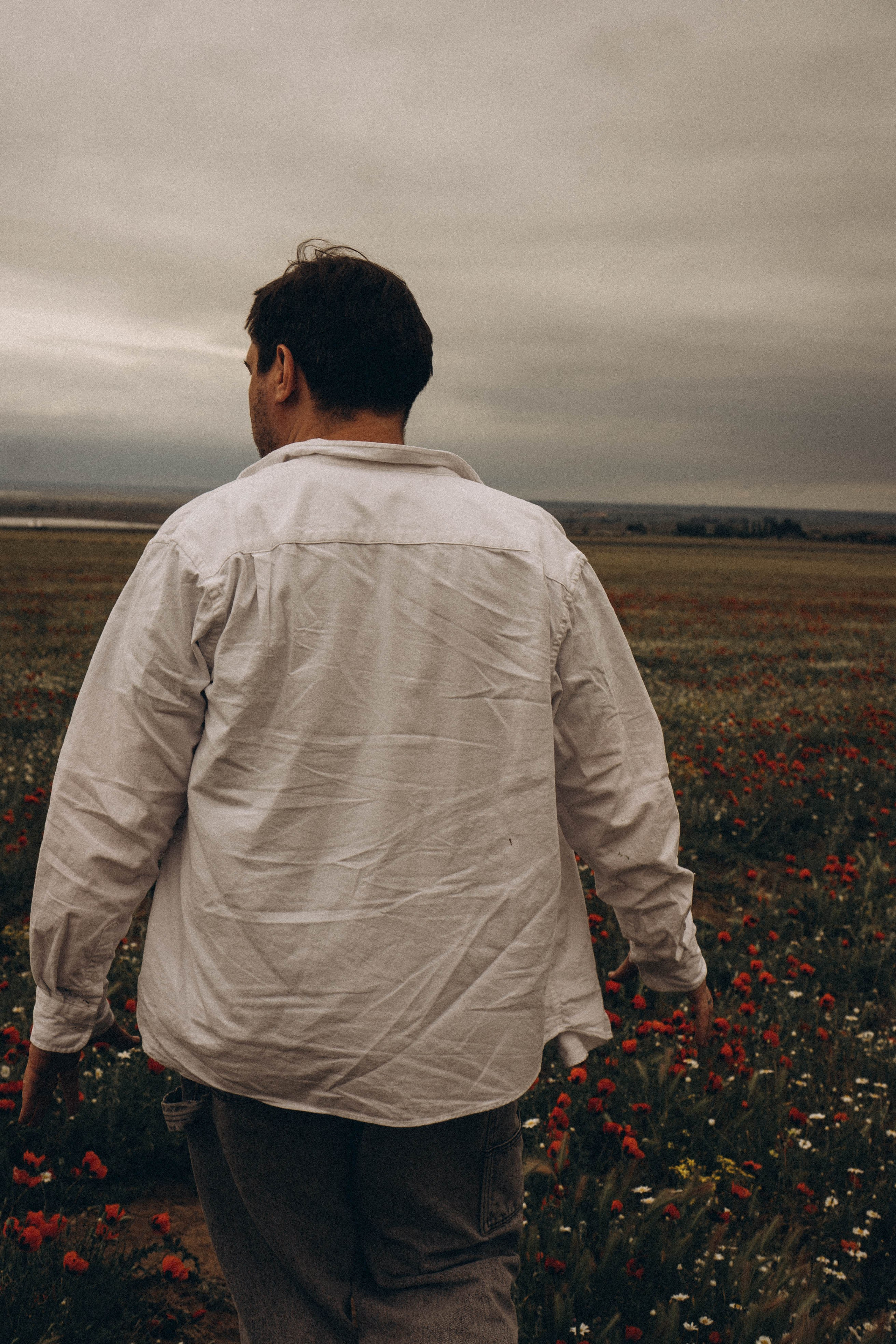 Маки. Профессиональный фотограф, Санкт-Петербург — Виктория Богомолова