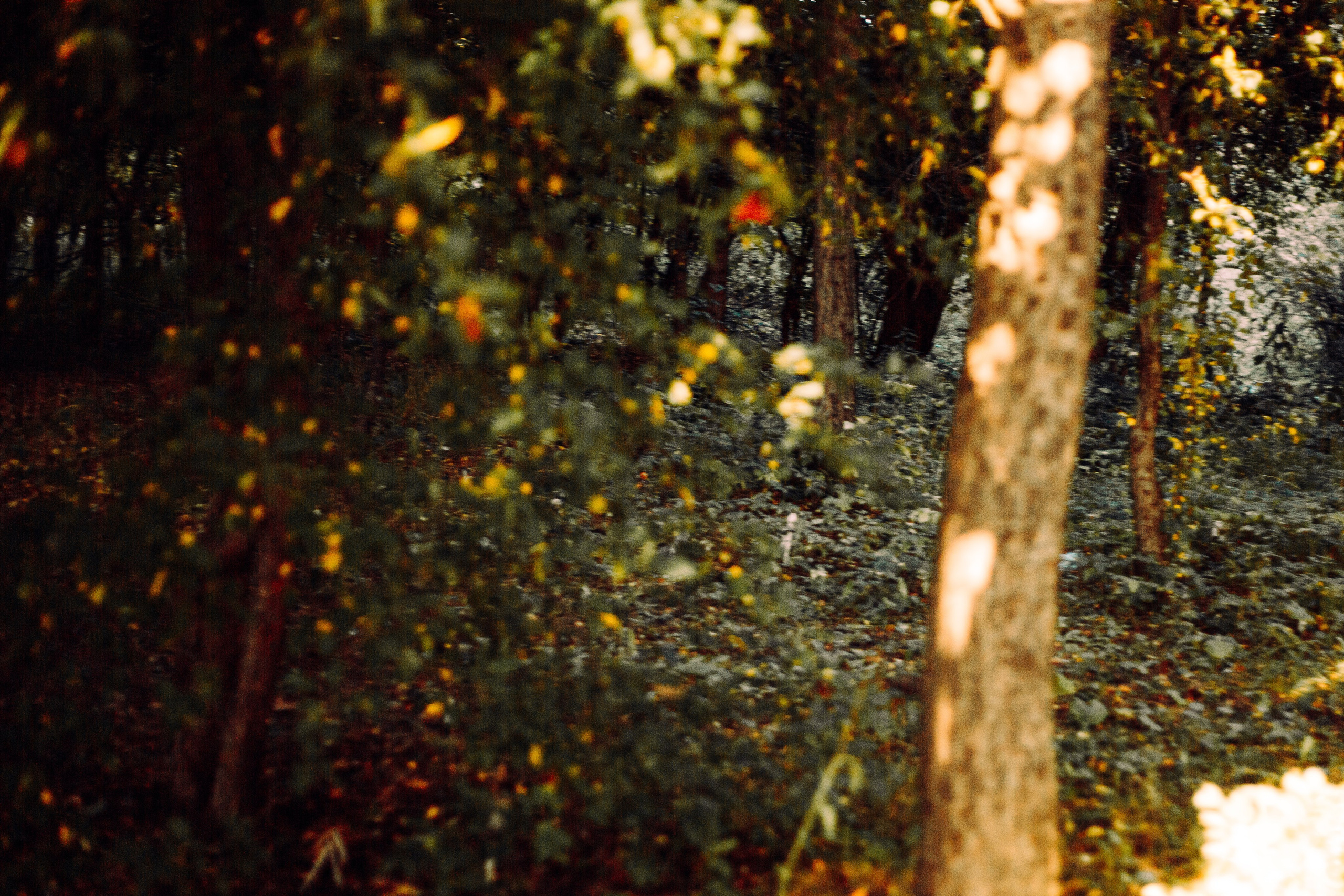 Хиппи. Единение с природой. Арт-фотограф Крис Л. в Тобольске: портрет, семейные, свадьбы