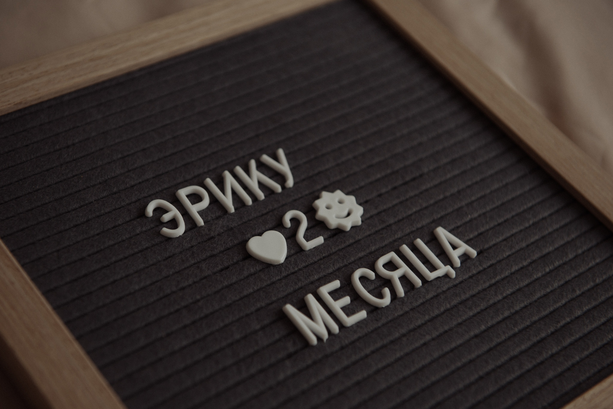 Юля, Рома, и Эрик. Свадебный, портретный, фотограф беременности в Нижнем Новгороде Алина Зиновьева