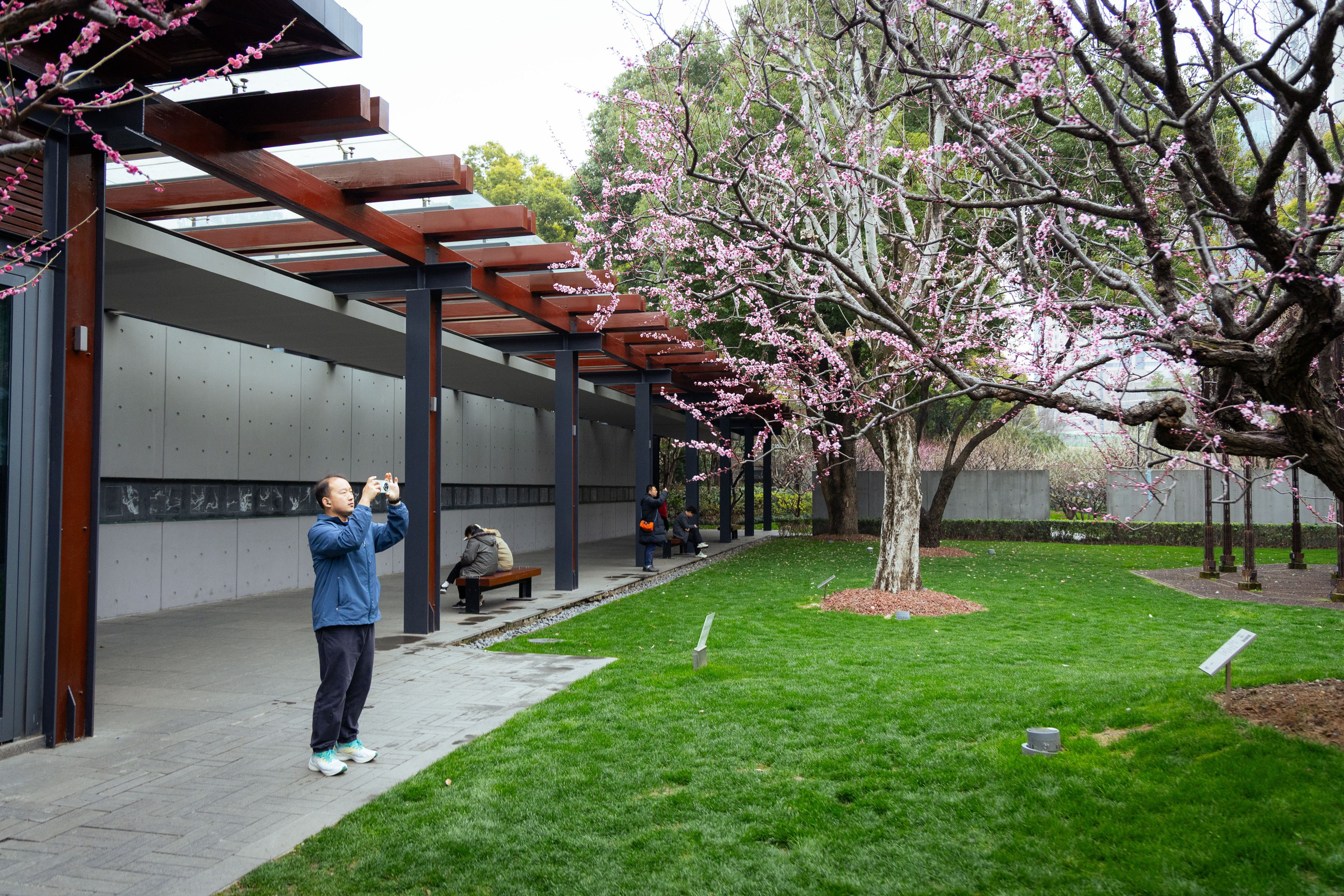 Шанхай (март 2026). Фотограф Виноградов Константин