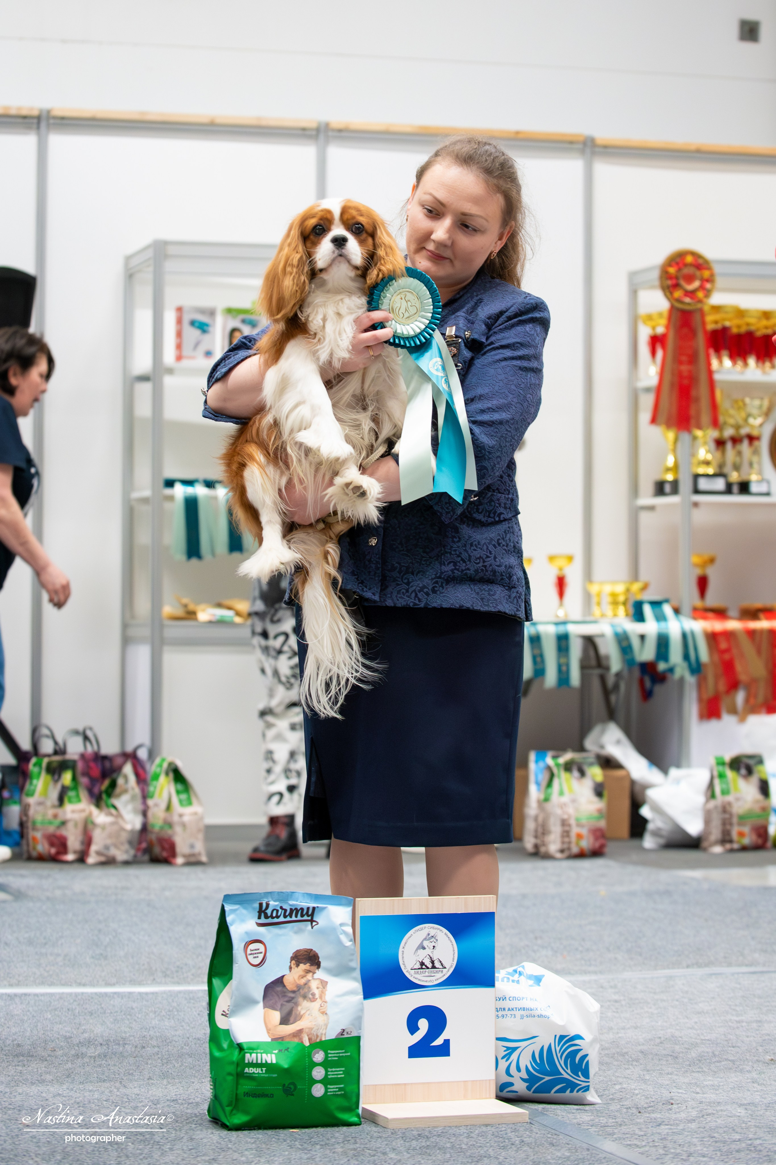 Выставки. Фотограф — Анималист