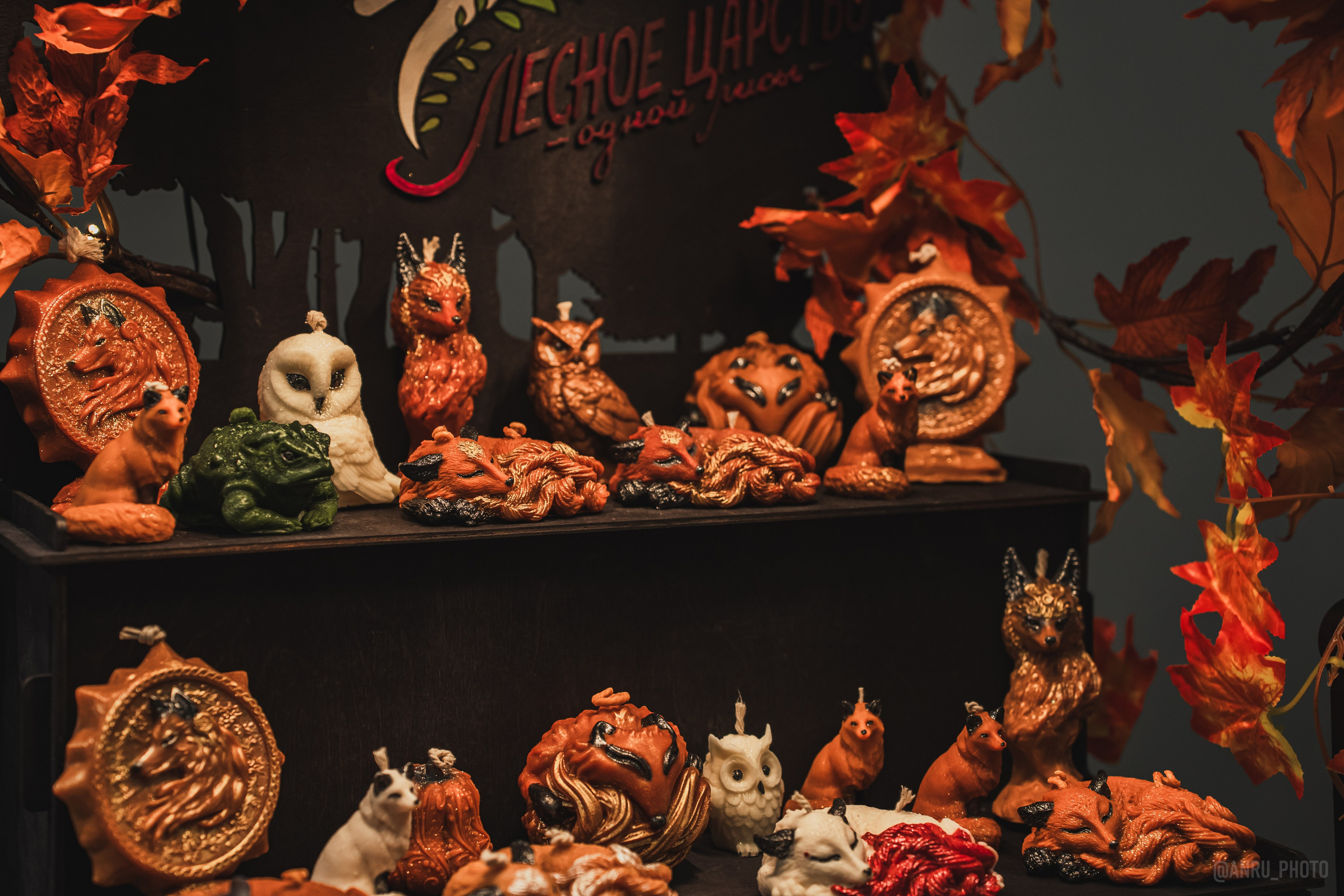 Fox Family fest. Репортажный фотограф Анастасия Рубцова