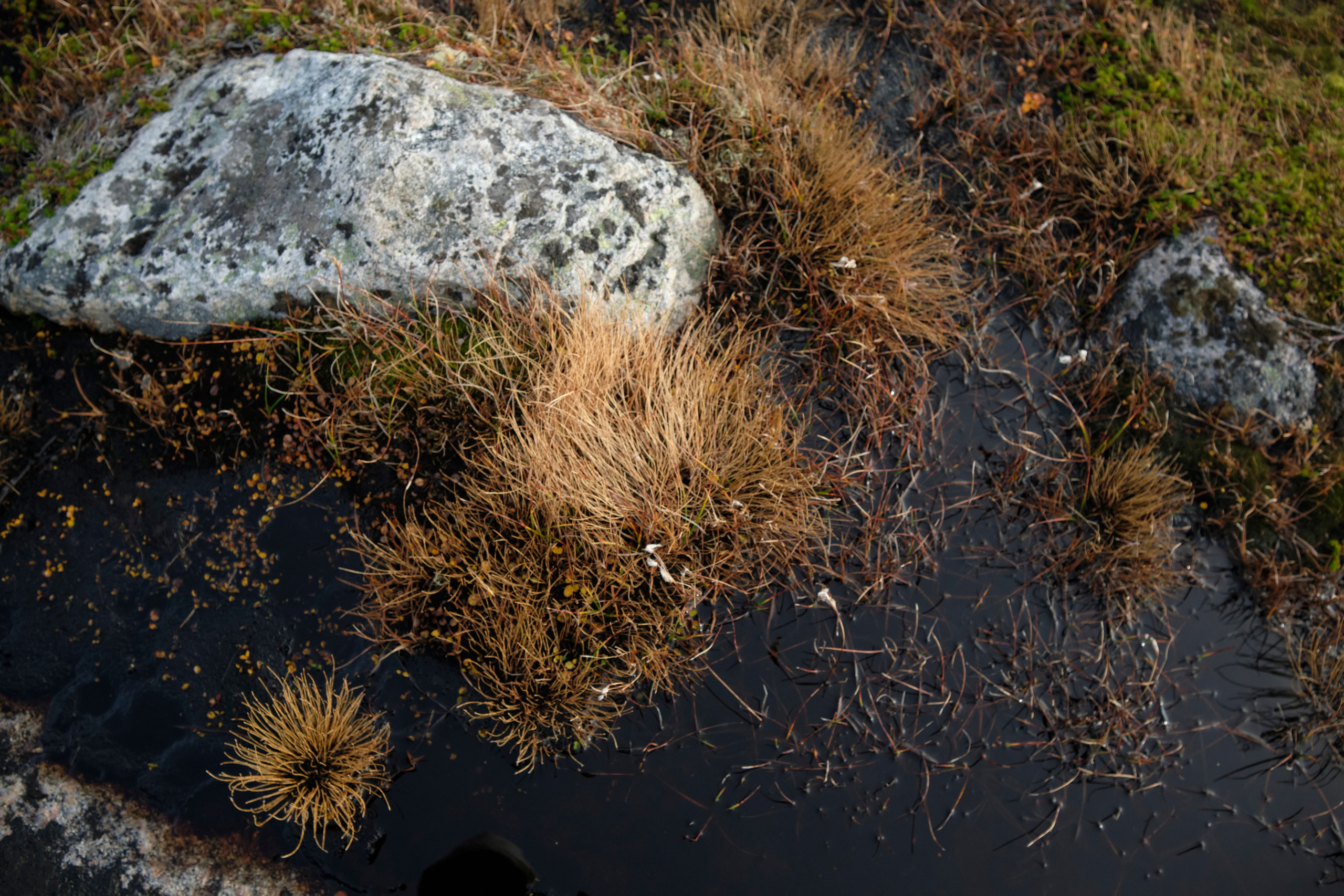 Путешествие в Териберку. Елена Павленко. Фотограф. Москва