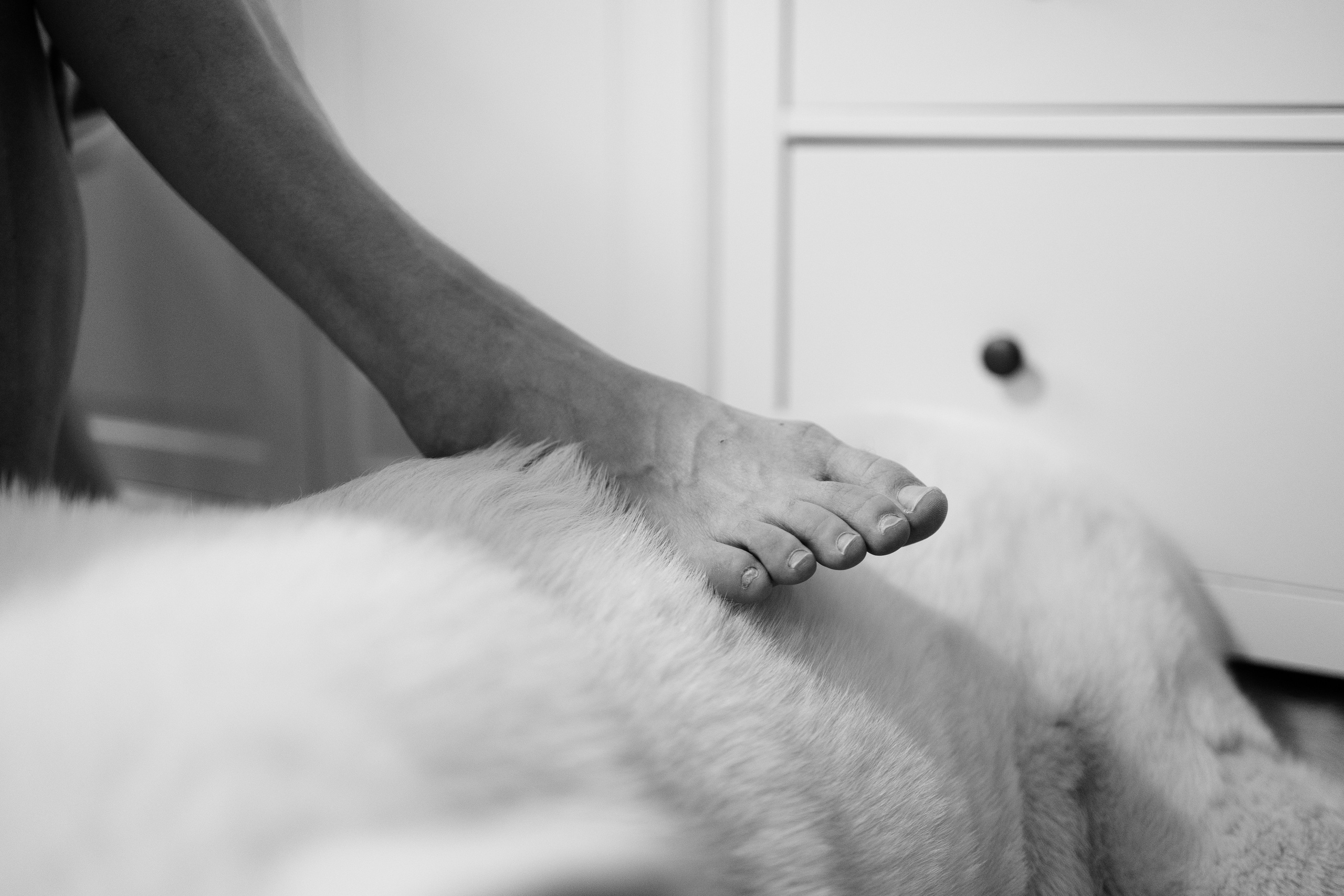 Семейные. Фотограф Бочарова Наталья, Санкт-Петербург