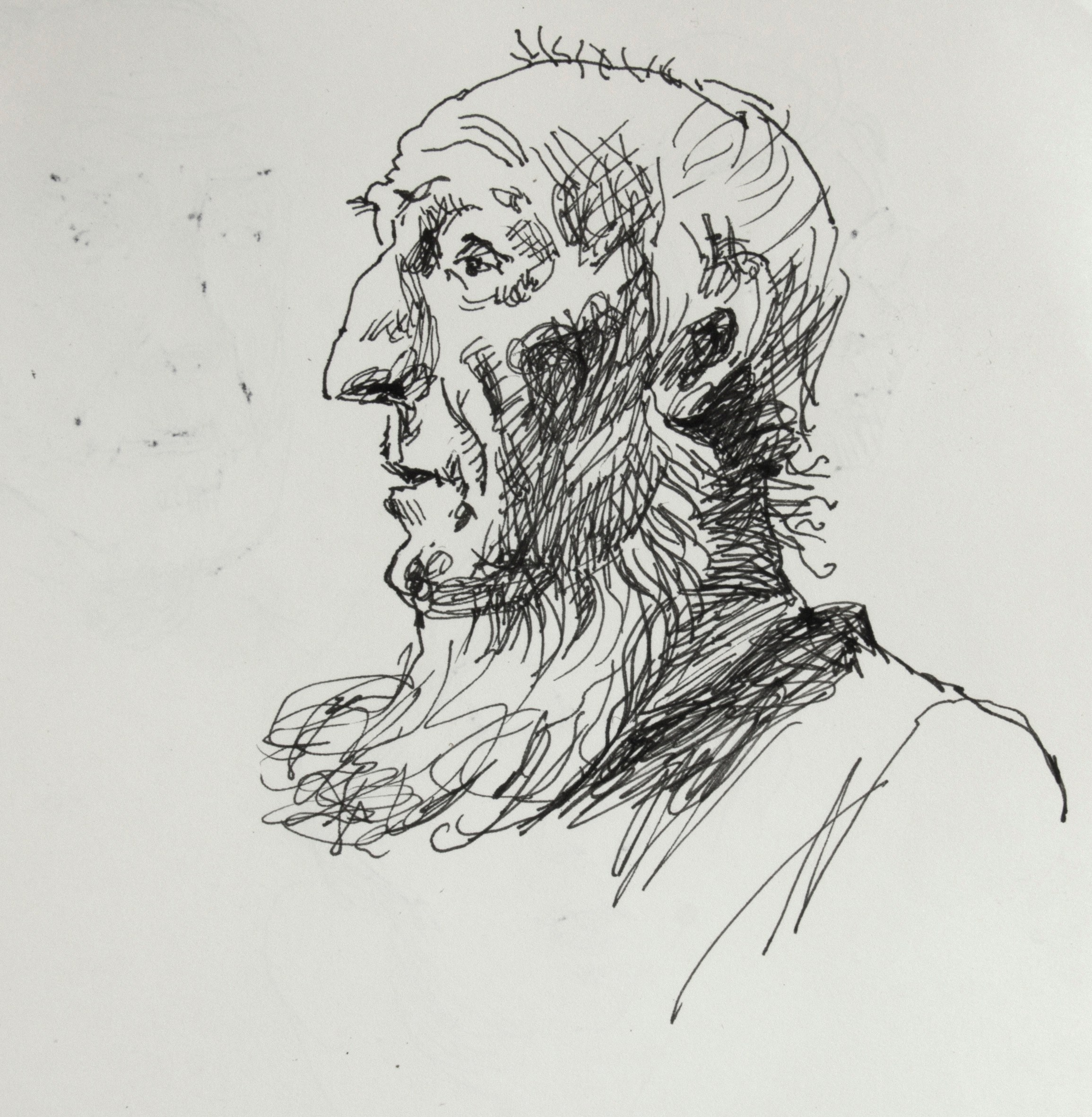 Портреты. Графика. Ольга Васильева художник в Санкт-Петербурге