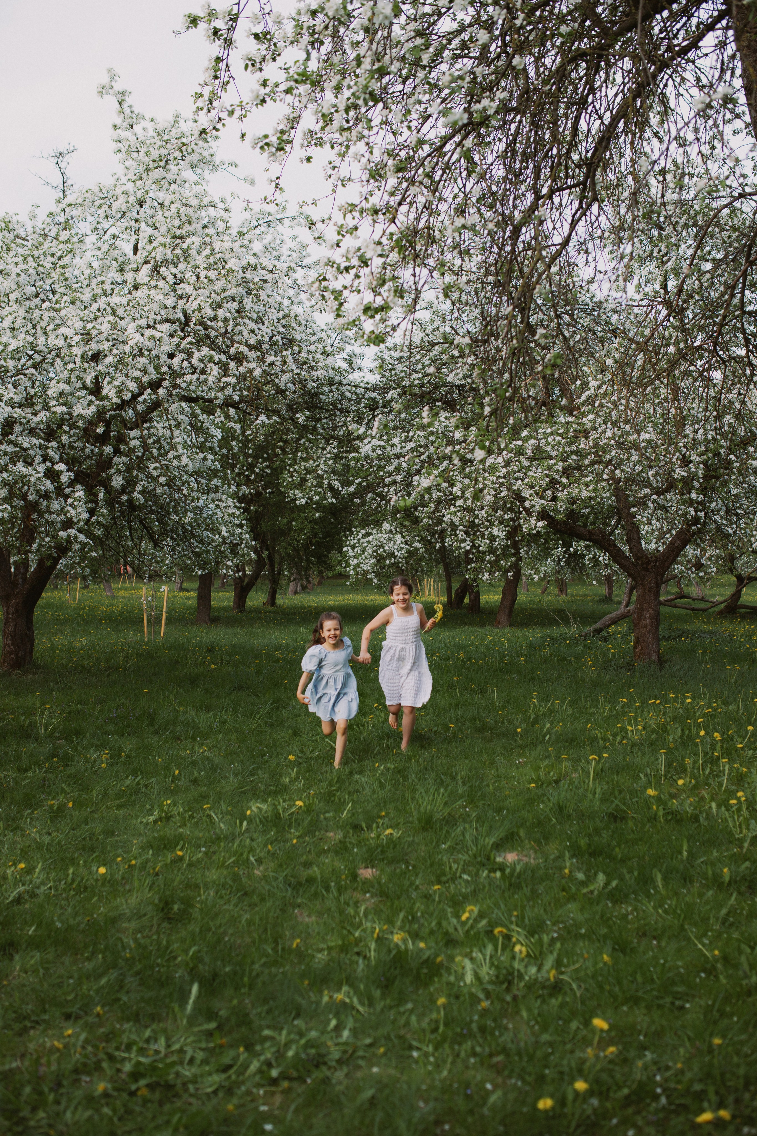 Sisters. Семейный и детский фотограф Минск, Беларусь