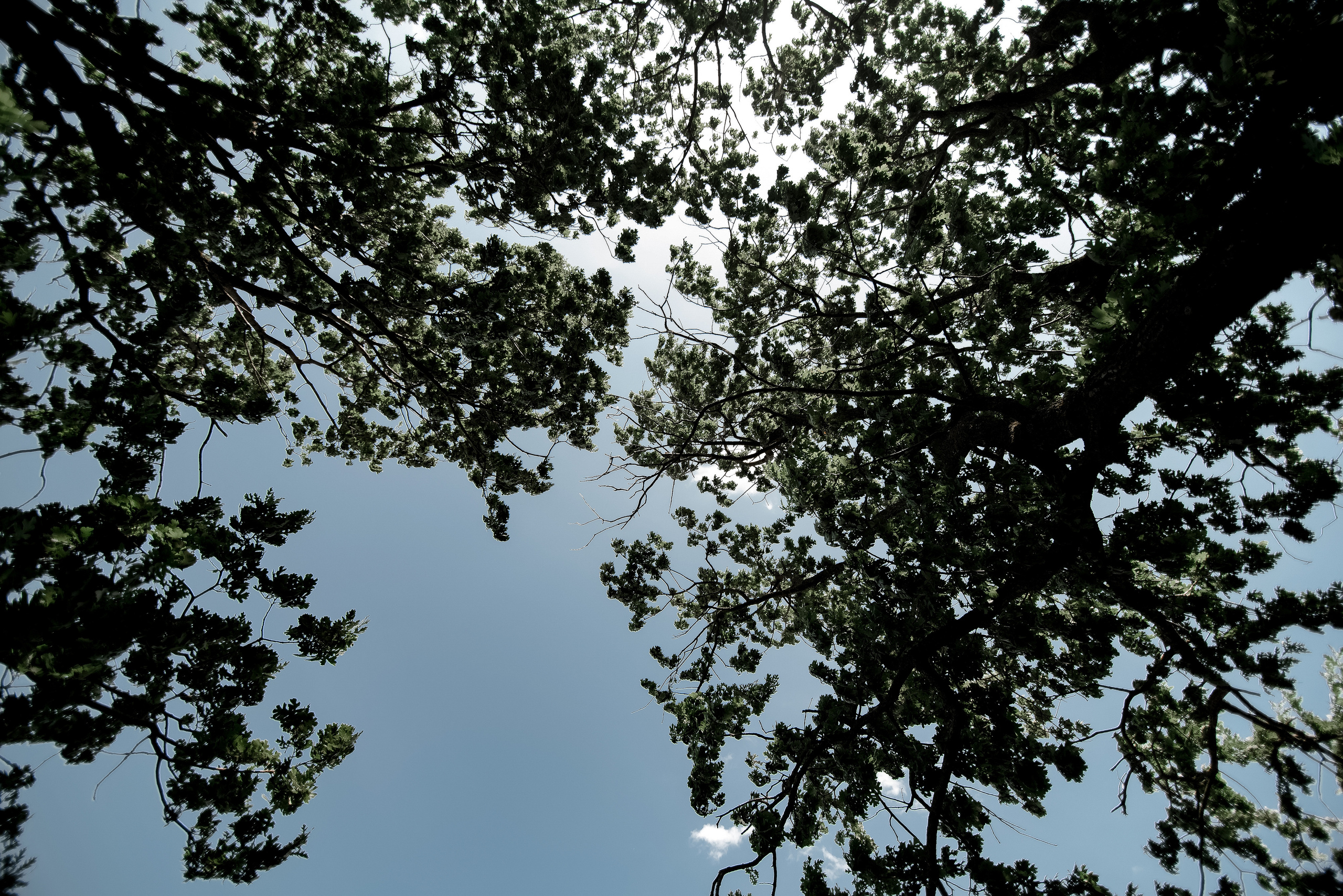 Artem & Marina. Репортажный фотограф в Сочи Шевченко Алексей